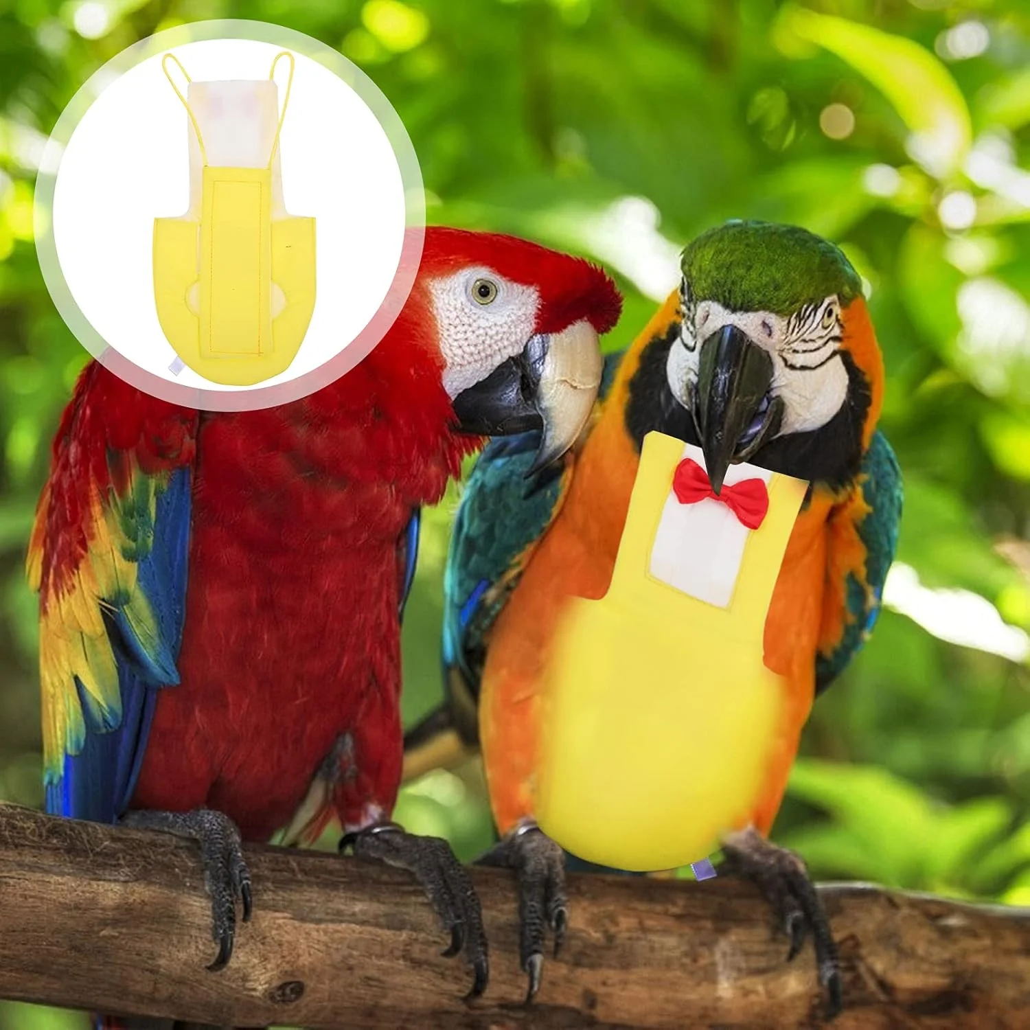 لباس پرواز طوطی با طرح پاپیون، مناسب و کاربردی برای پرندگان خانگی