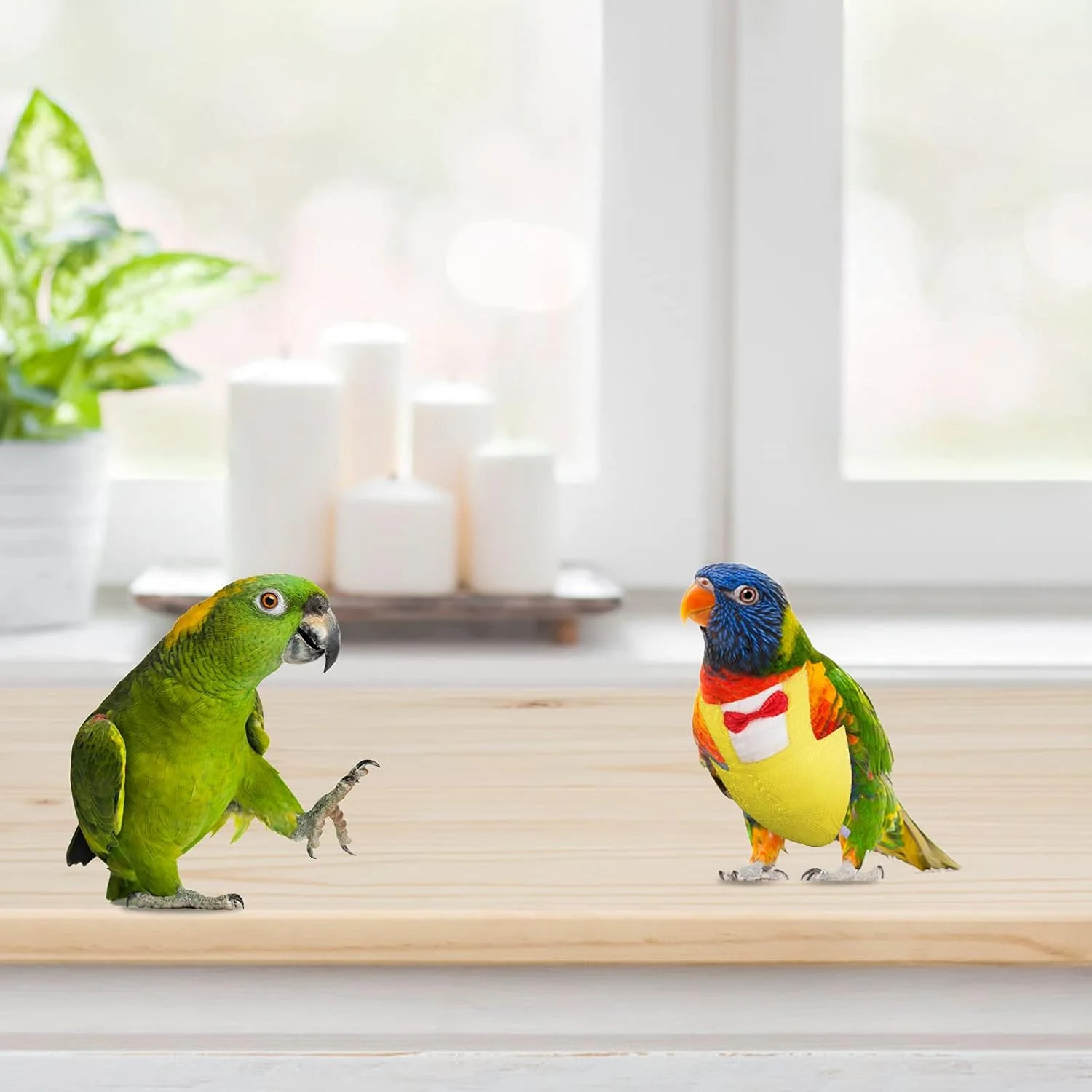 لباس پرواز پرنده طوطی با طرح پاپیون، مناسب و کاربردی برای حیوانات خانگی