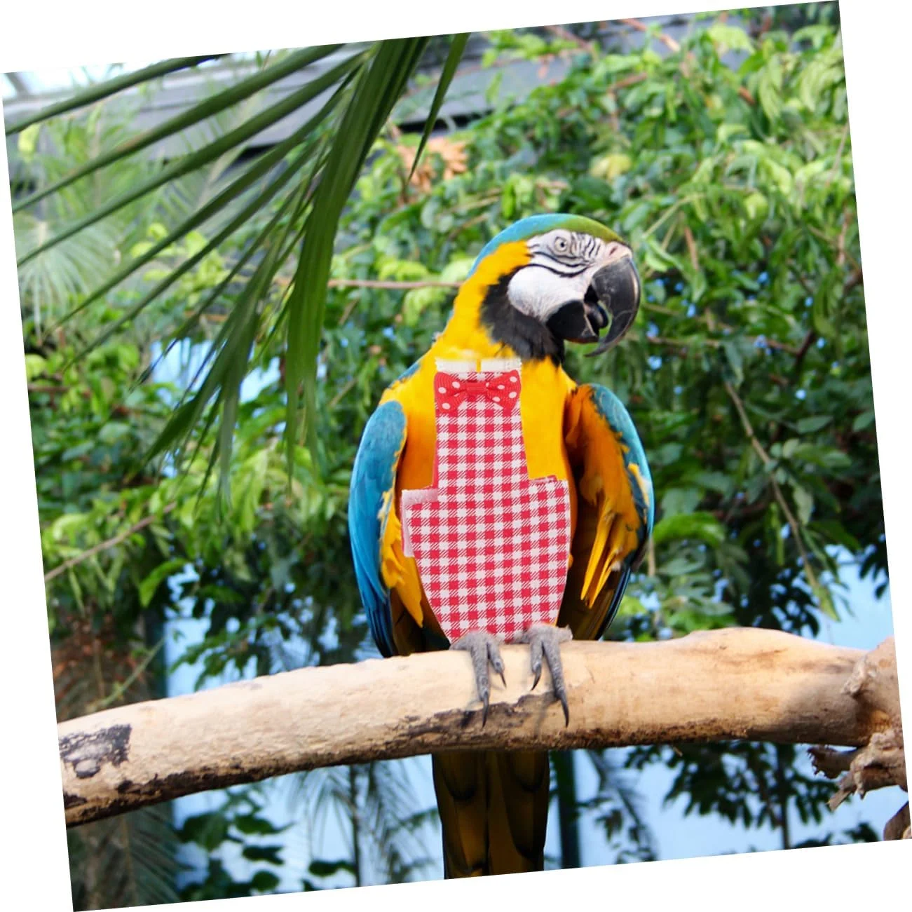 لباس پرواز پرنده، پوشک پرنده، لباس پنبه ای برای طوطی ها، لباس پرنده قابل استفاده مجدد، لوازم جانبی لباس پوشک پرواز پرنده، پوشک محافظ طوطی