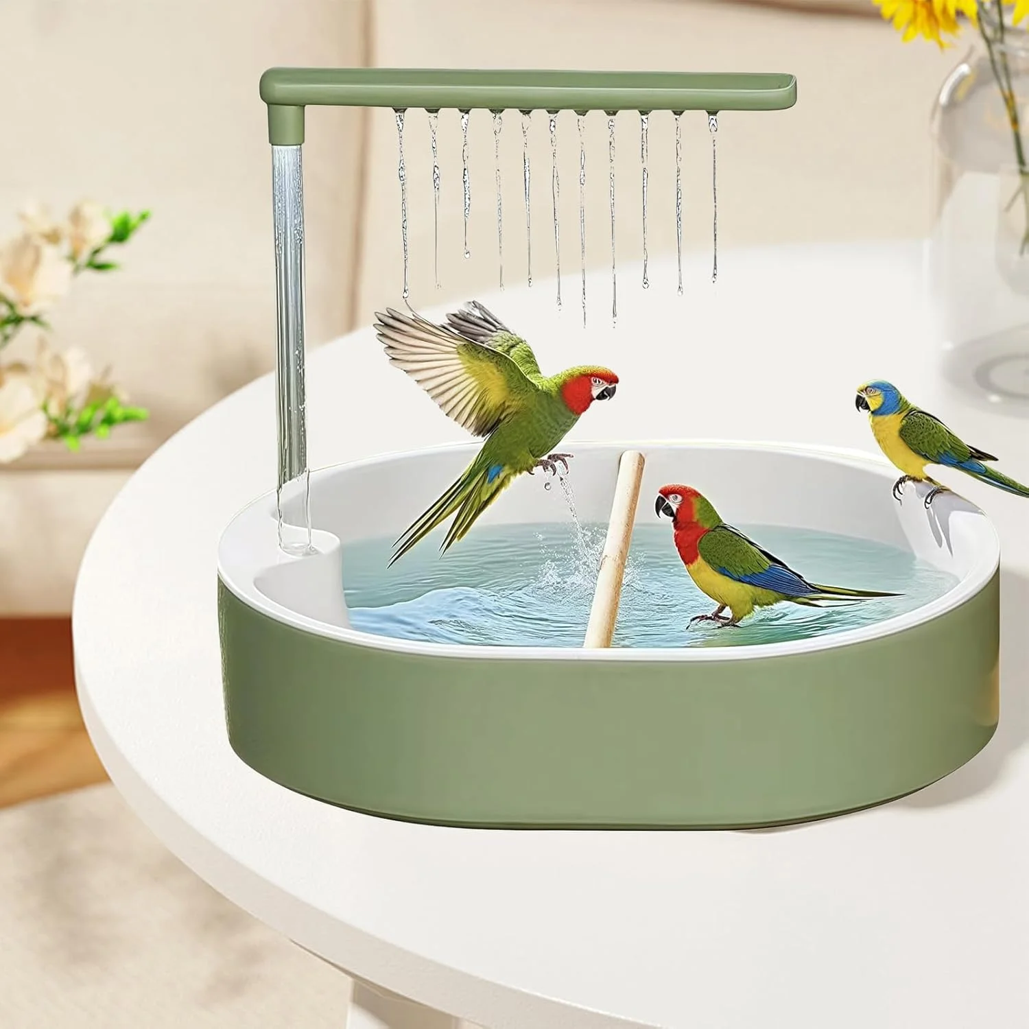 حمام طوطی، دوش پرنده طوطی - آبنما حوضچه ای برای مرغ عشق، عروس هلندی، فنچ، کاکادو، تجربه حمام کردن در محیط داخلی