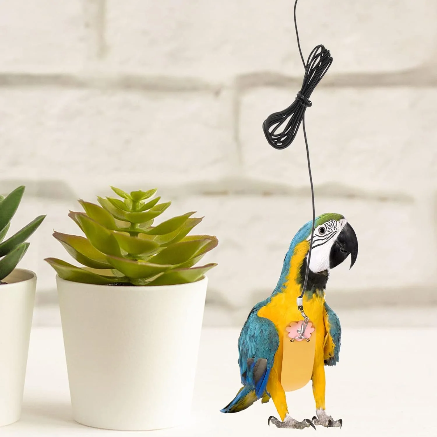 پوشک پرنده طوطی با بند، لباس پرواز طوطی، پوشک عروس هلندی با طناب بند، لباس تنفسی قابل شستشو برای پرندگان خانگی