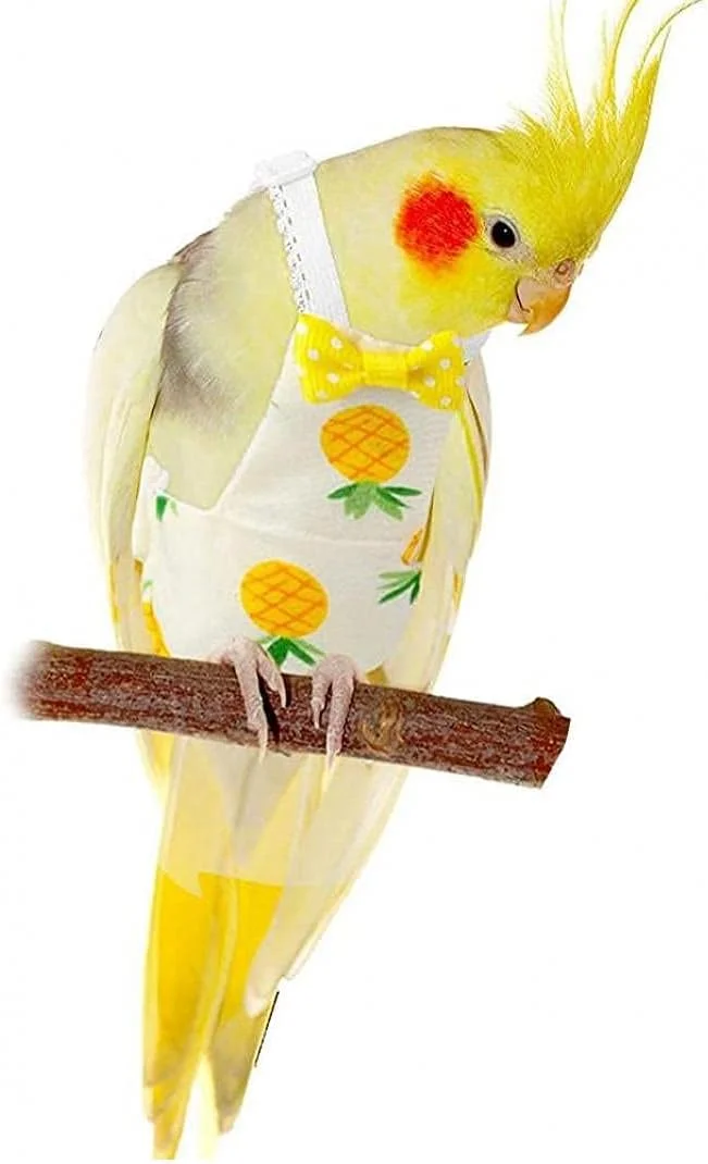 پوشک پرنده PAKEY، لباس پرواز، آستر قابل شستشو و استفاده مجدد، لباس محافظ طوطی با لایه داخلی ضد آب، طرح آناناس زیبا، سایز L