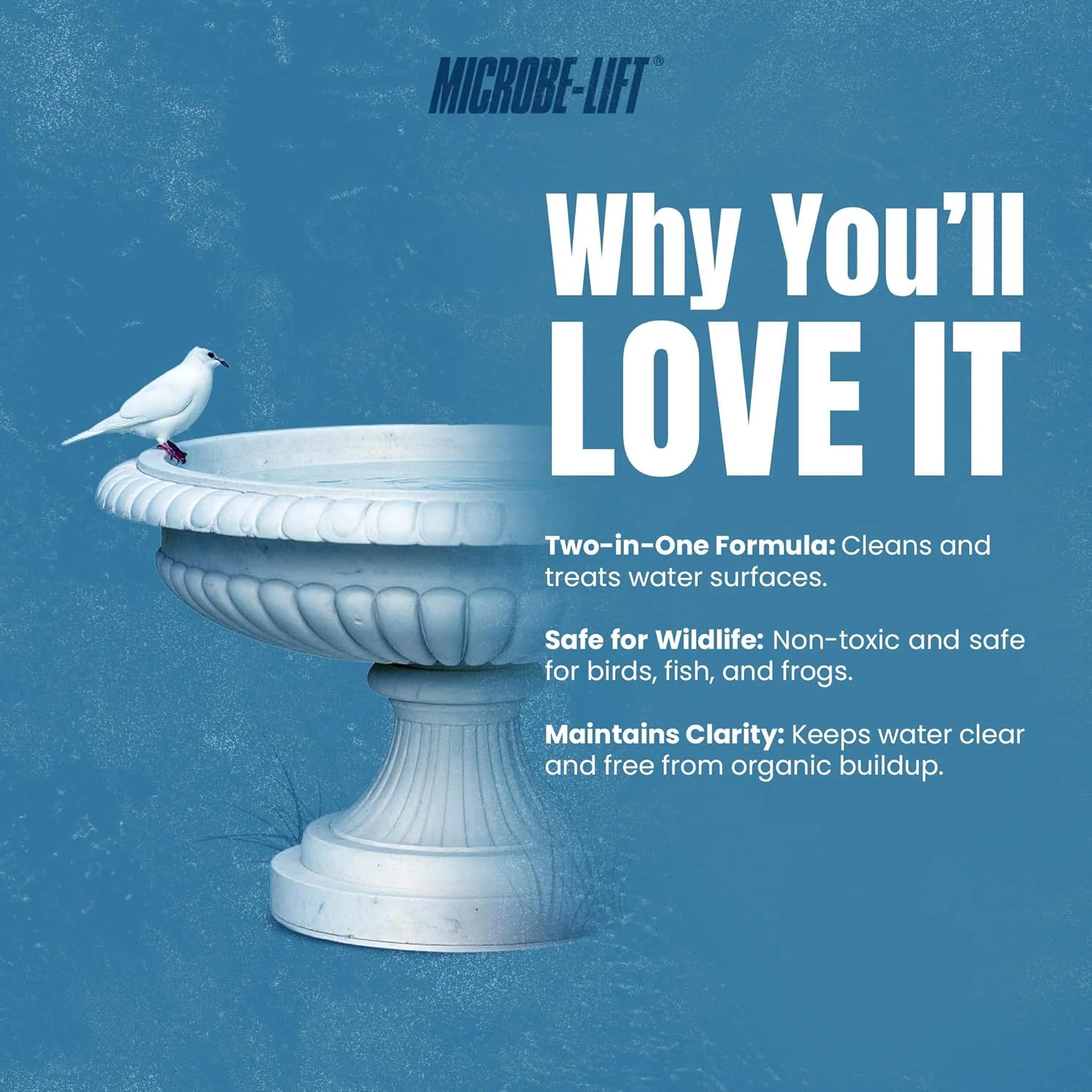 محلول پاک کننده و شفاف کننده دو منظوره آب حوضچه پرندگان MICROBE-LIFT، مناسب برای حوضچه ها و فواره های فضای باز، ایمن برای پرندگان، ماهی ها و قورباغه ها (حجم 4 اونس) محلول پاک کننده و شفاف کننده دو منظوره آب حوضچه پرندگان MICROBE-LIFT، مناسب برای حوضچه ها و فواره های فضای باز، ایمن برای پرندگان، ماهی ها و قورباغه ها (حجم 4 اونس)