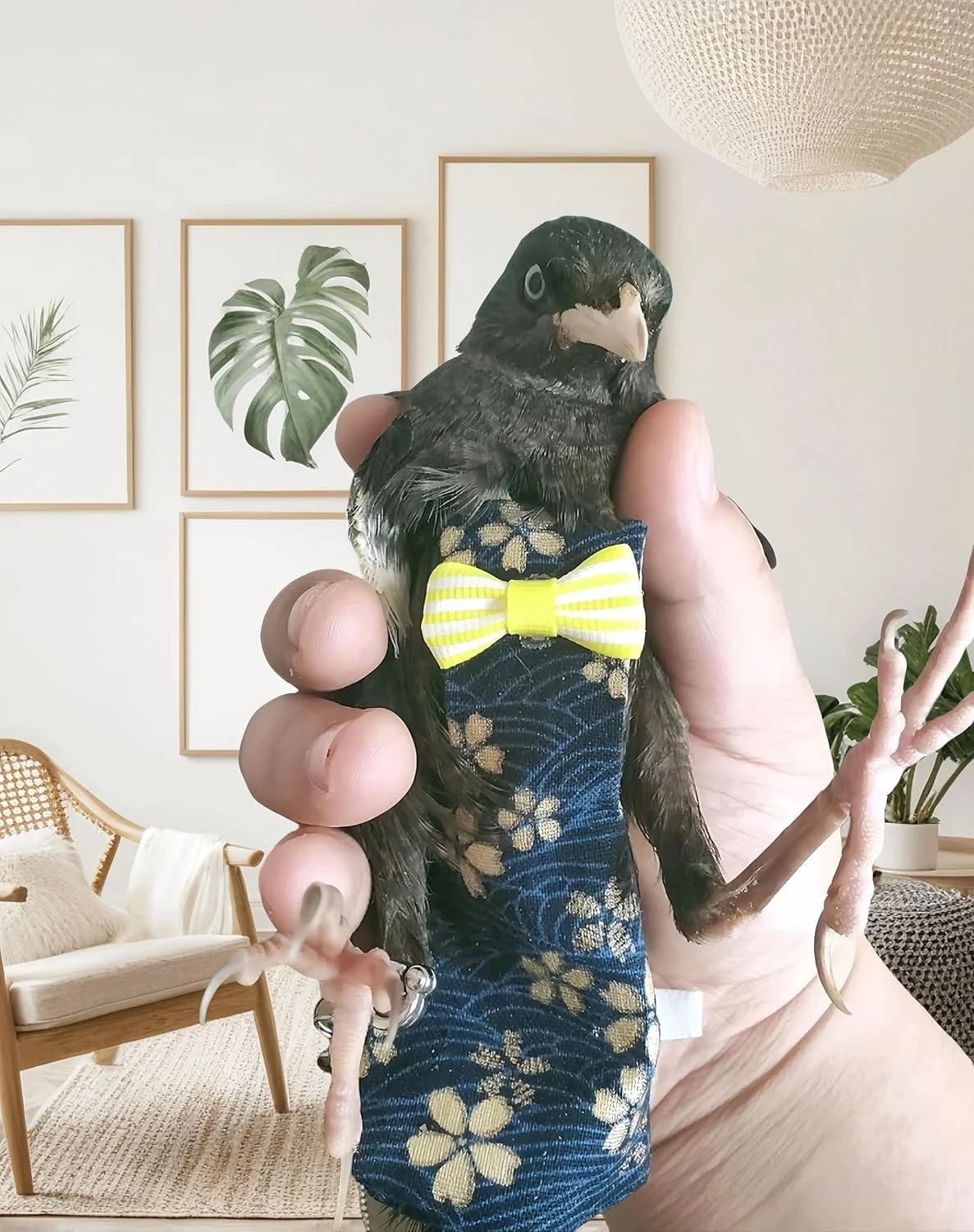 ست پوشک پرنده و افسار پرواز Magnoloran، شامل 2 عدد پوشک پرنده با افسار پرواز 80 اینچی، پوشک قابل استفاده مجدد طوطی با لایه داخلی ضد آب برای عروس هلندی، مرغ عشق، کانور، پاراکیت و لاوبرد - آبی تیره و روشن