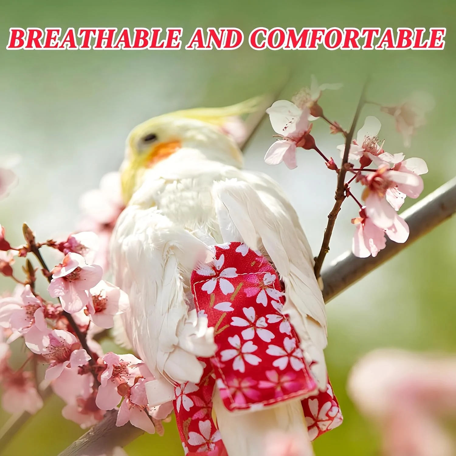 ست پوشک پرنده Magnoloran شامل 2 عدد پوشک پرنده، لباس پرواز، همراه با بند پرواز 80 اینچی، پوشک قابل استفاده مجدد برای طوطی، دارای لایه داخلی ضد آب برای کوکاتیل، باجریگار، کانور، پاراکیت و مرغ عشق - قرمز و آبی روشن