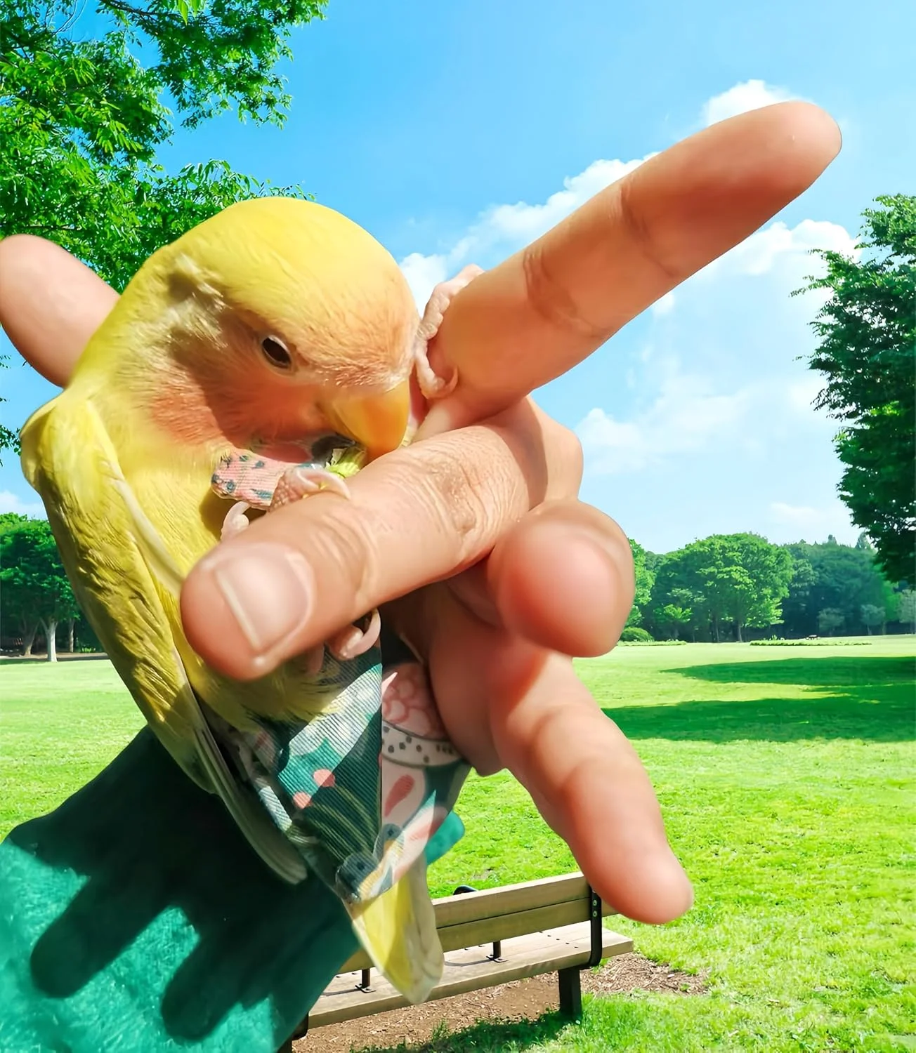 Magnoloran 2 عدد پوشک پرنده، لباس پرواز هارنس پرنده با بند پرواز 80 اینچی، پوشک طوطی قابل استفاده مجدد با لایه داخلی ضد آب برای عروس هلندی، مرغ عشق، کانور، پاراکیت، مرغ عشق - قرمز و سبز