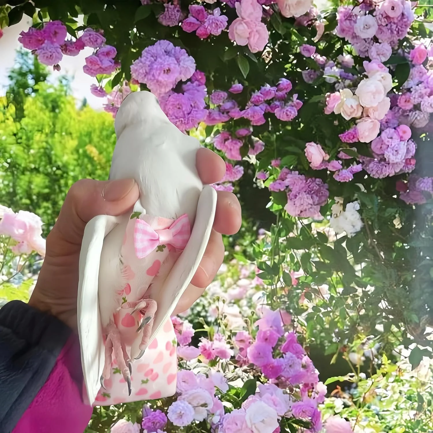 ست 2 عددی پوشک پرنده مگنولوران، لباس پرواز با افسار پرواز 80 اینچی، پوشک قابل استفاده مجدد طوطی با لایه داخلی ضد آب برای کوکاتیل، مرغ عشق، کانور، پاراکیت، مرغ مینا - قلب و اردک