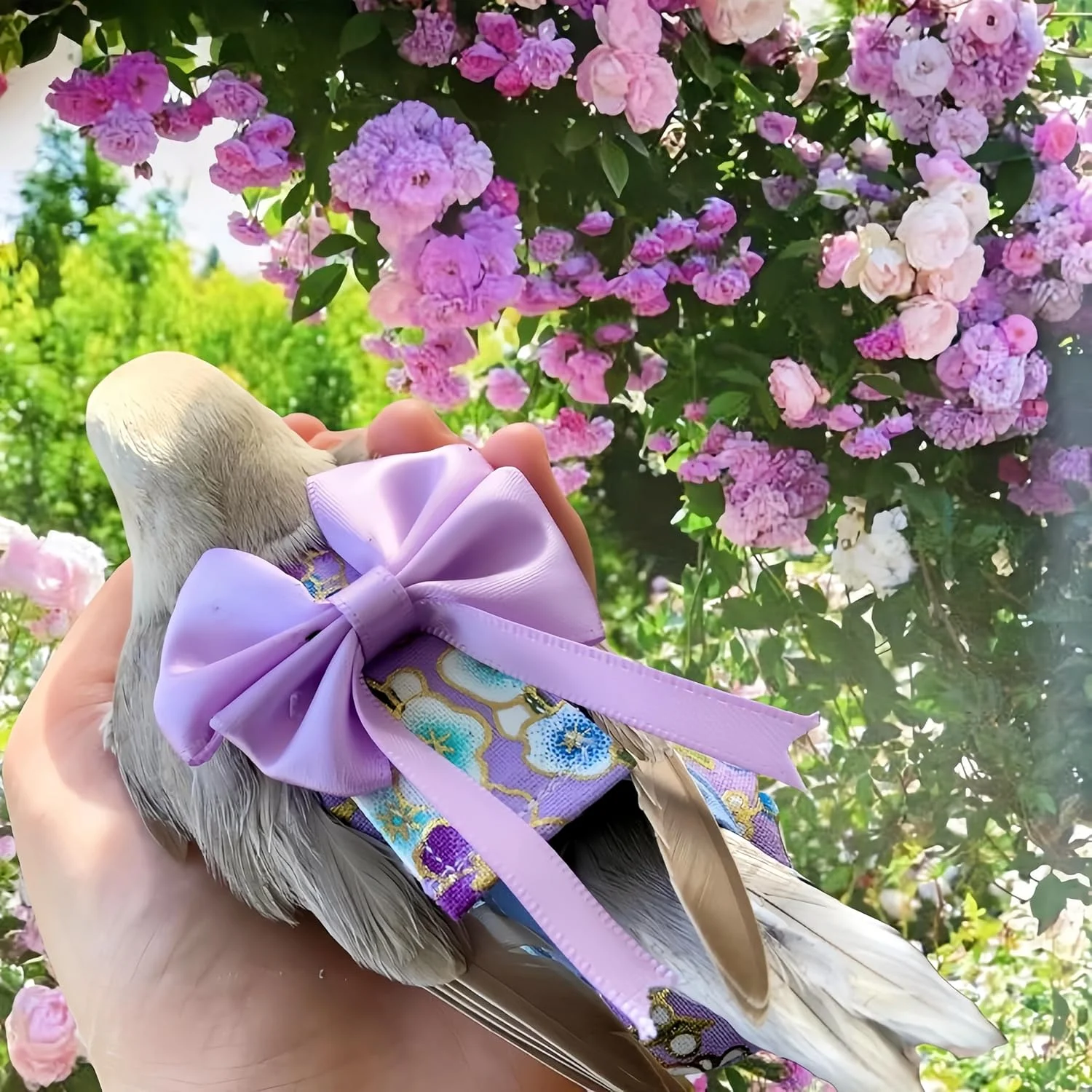 ست پوشک پرنده Magnoloran شامل 2 عدد پوشک پرنده، لباس پرواز و افسار پرواز 80 اینچی، پوشک قابل استفاده مجدد طوطی با لایه داخلی ضد آب برای کوکاتیل، مرغ عشق، کانور، پاراکیت، مرغ مینا - طرح شکوفه های گیلاس قرمز و بنفش