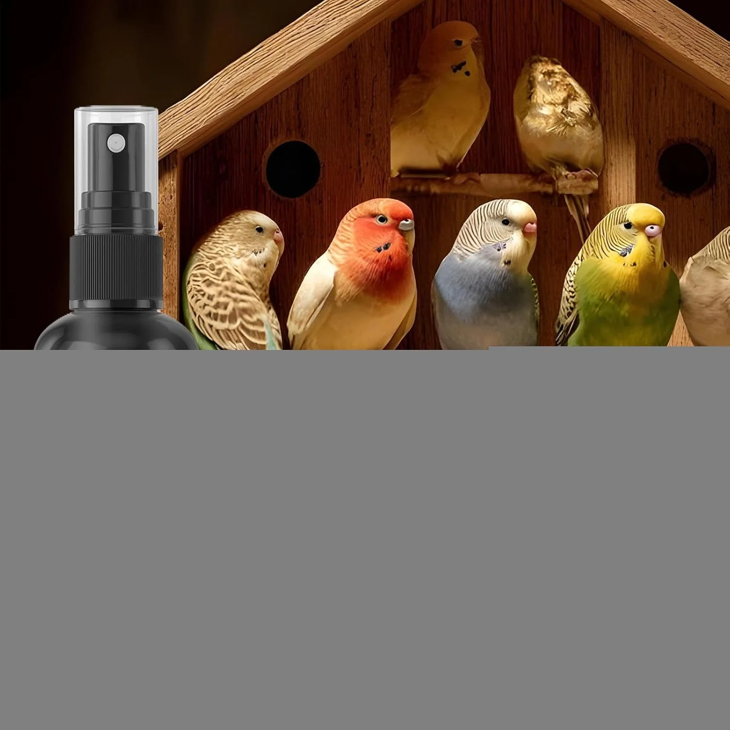 اسپری ضد کک طوطی، اسپری تمیز کننده قفس پرنده 100 میلی لیتری برای طوطی | کنترل سریع و طولانی مدت مگس، لوازم حیوانات خانگی خشک شونده سریع برای مرغ، عروس هلندی، بوقلمون و کبوتر
