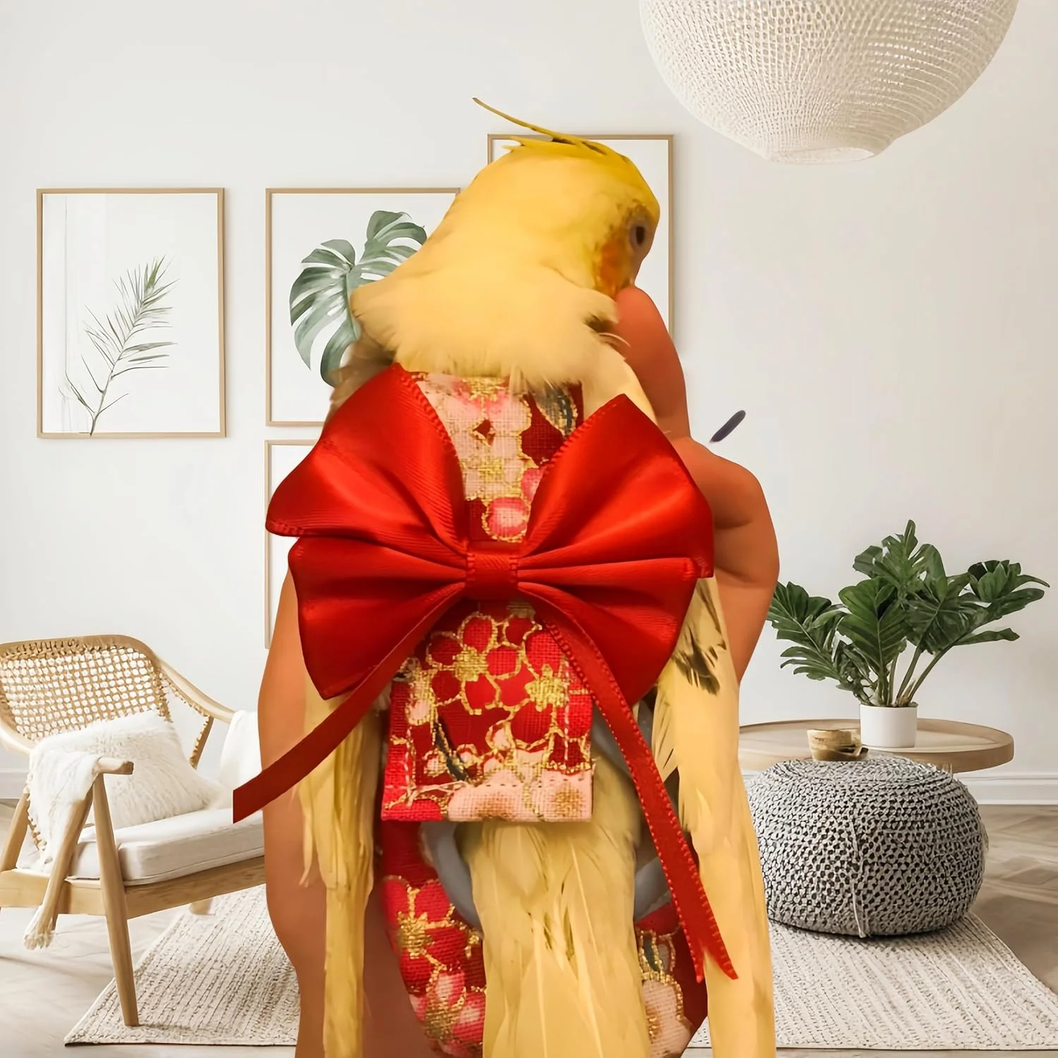 ست پوشک پرنده Magnoloran شامل 2 عدد پوشک پرنده، لباس پرواز و افسار پرواز 80 اینچی، پوشک قابل استفاده مجدد طوطی با لایه داخلی ضد آب برای کوکاتیل، مرغ عشق، کانور، پاراکیت، مرغ مینا - طرح شکوفه های گیلاس قرمز و بنفش