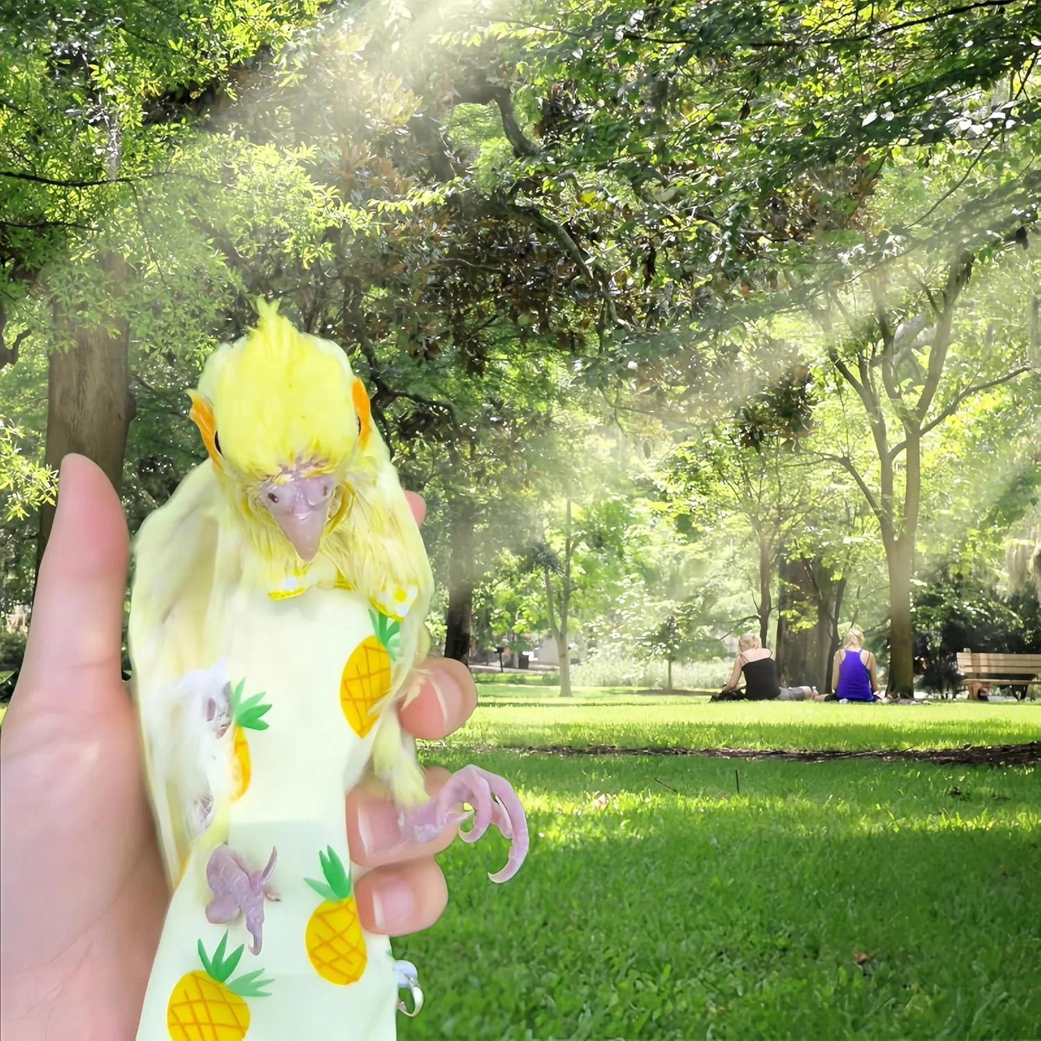 ست پوشک پرنده Magnoloran، شامل 2 عدد پوشک پرنده، لباس پرواز و 2 عدد افسار پرواز 80 اینچی، شورت پوشکی طوطی، شلوار کبوتر، مناسب برای کوکاتیل، کانور، ماکائو، باجی و پاراکیت - طرح سیب و آناناس