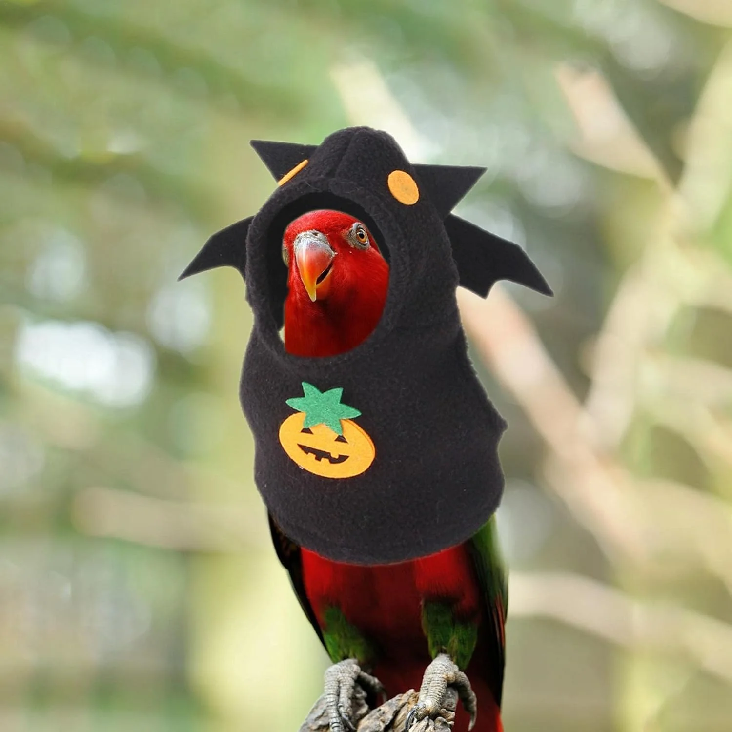 لباس پرنده هالووین | لباس هالووین پرنده با طرح کدو تنبل و خفاش - هودی پرنده لباس حیوانات کوچک پوشک پرنده برای طوطی خاکستری آفریقایی عروس هلندی