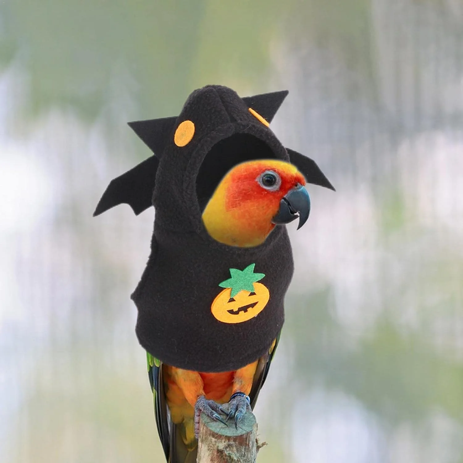 لباس پرنده هالووین | لباس هالووین پرنده با طرح کدو تنبل و خفاش - هودی پرنده لباس حیوانات کوچک پوشک پرنده برای طوطی خاکستری آفریقایی عروس هلندی