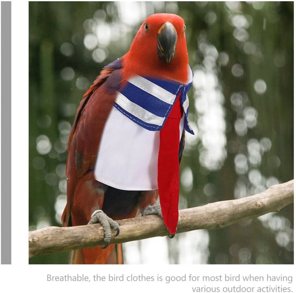 لباس پرواز پرندگان لباس پرواز پرندگان لباس طوطی لباس حیوانات خانگی لباس فرم پرنده پوشک لباس برای طوطی مینی ماکائو مرغ عشق قناری لباس پرواز پرنده