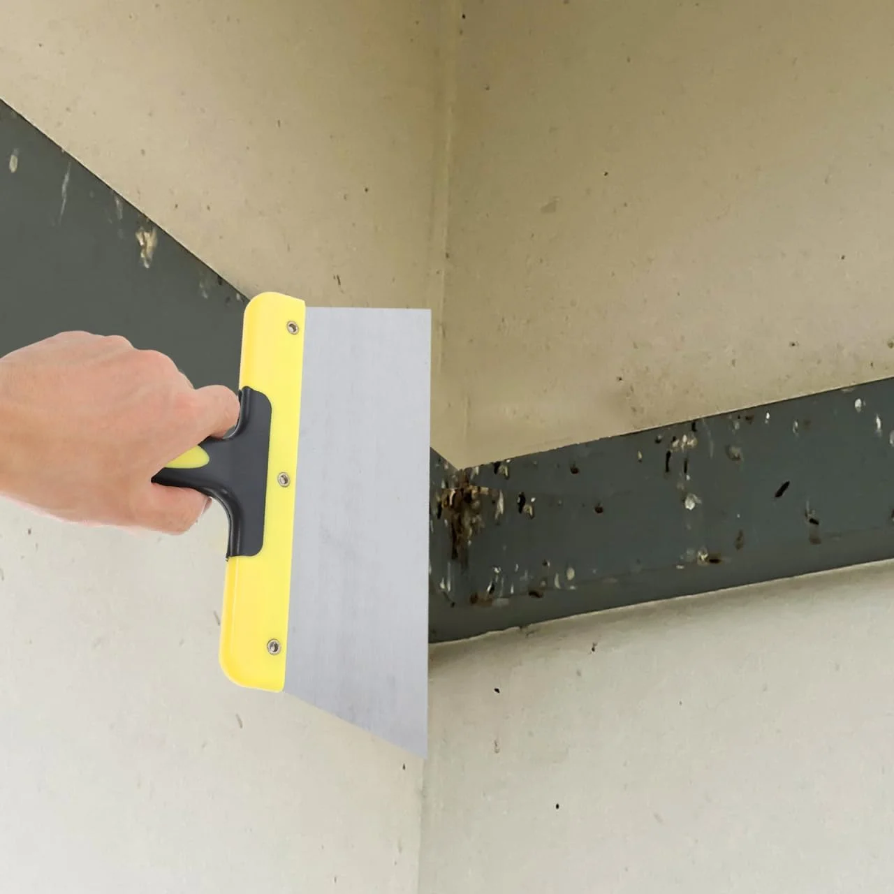 ابزار پاک کننده فضله پرنده DRESSOOS، اسکرابر تمیز کننده فضله کبوتر برای پاسیو