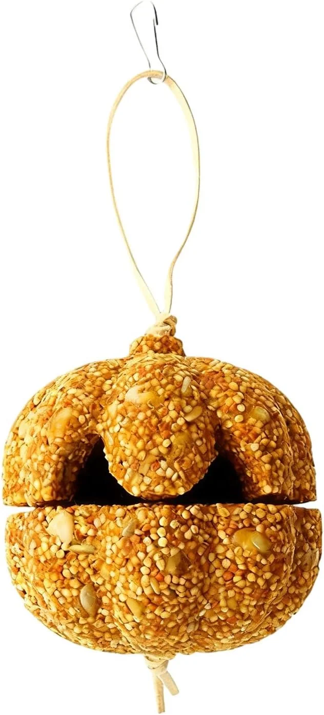 تشویقی طوطی، اسباب بازی قفس طوطی - دانه های پاراکیت به شکل کدو تنبل | مناسب قناری، خوکچه هندی، چینچیلا، مرغ عشق، کانور تشویقی طوطی، اسباب بازی قفس طوطی - دانه های پاراکیت به شکل کدو تنبل | مناسب قناری، خوکچه هندی، چینچیلا، مرغ عشق، کانور