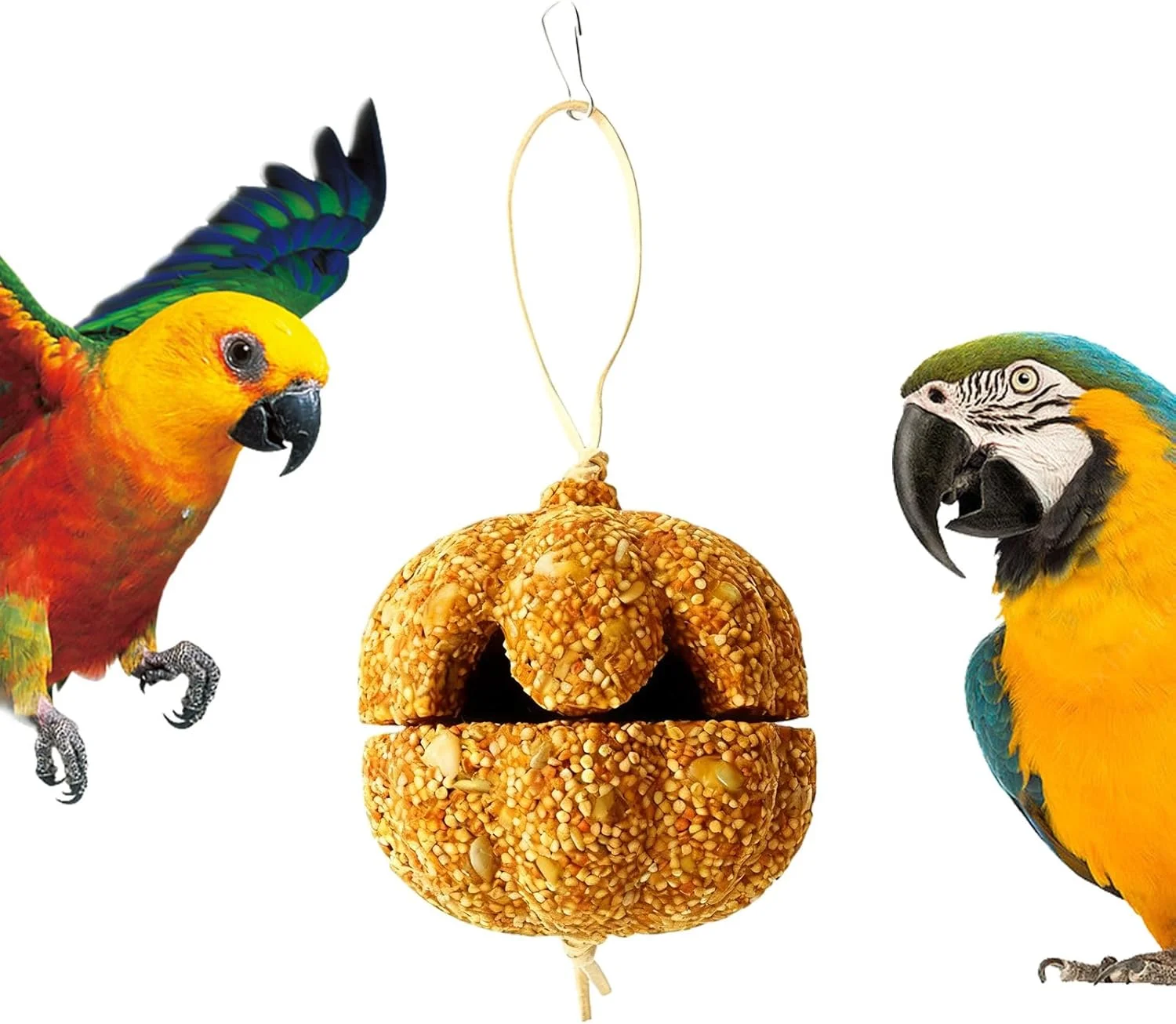 تشویقی طوطی عروس هلندی | اسباب بازی تشویقی دانه ای قفس، شکل کدو تنبل | برای قناری خوکچه هندی چینچیلا مرغ عشق و کانور تشویقی طوطی عروس هلندی | اسباب بازی تشویقی دانه ای قفس، شکل کدو تنبل | برای قناری خوکچه هندی چینچیلا مرغ عشق و کانور