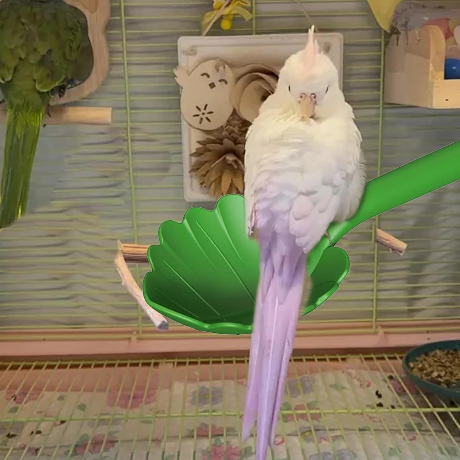 نشیمنگاه پرنده برای قفس - نشیمنگاه عروس هلندی 2 در 1 | پایه ظرف غذا برای ساییدن پنجه، جویدن، تغذیه و بالا رفتن فنچ، عروس هلندی، گنجشک، مرغ مگس خوار، ماکائو و مرغ عشق
