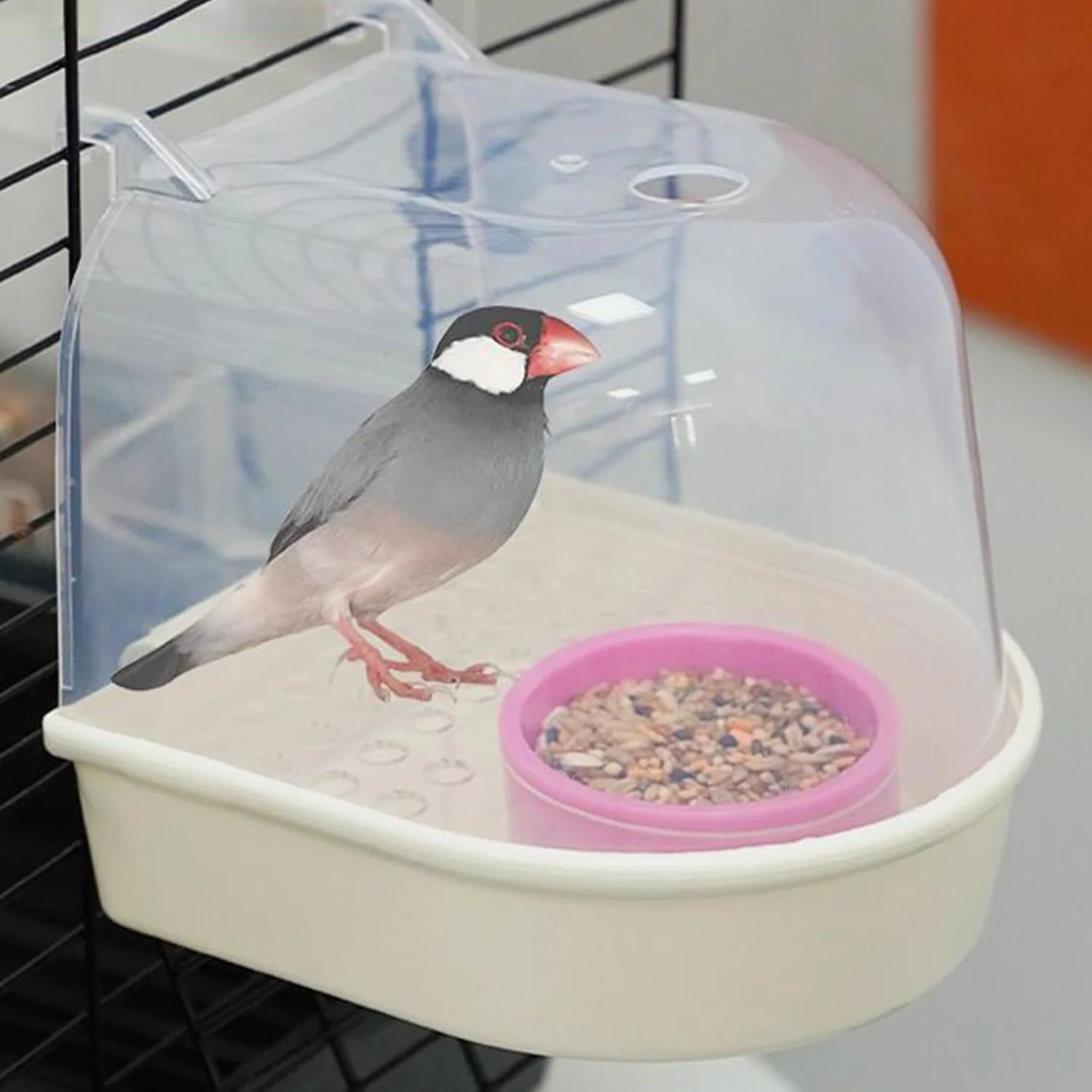 حمام پرنده طوطی - حوضچه آب شفاف ضد ریزش | وان حمام طوطی - برای تغذیه قناری، طوطی راهب، داخل و خارج از خانه و باغ