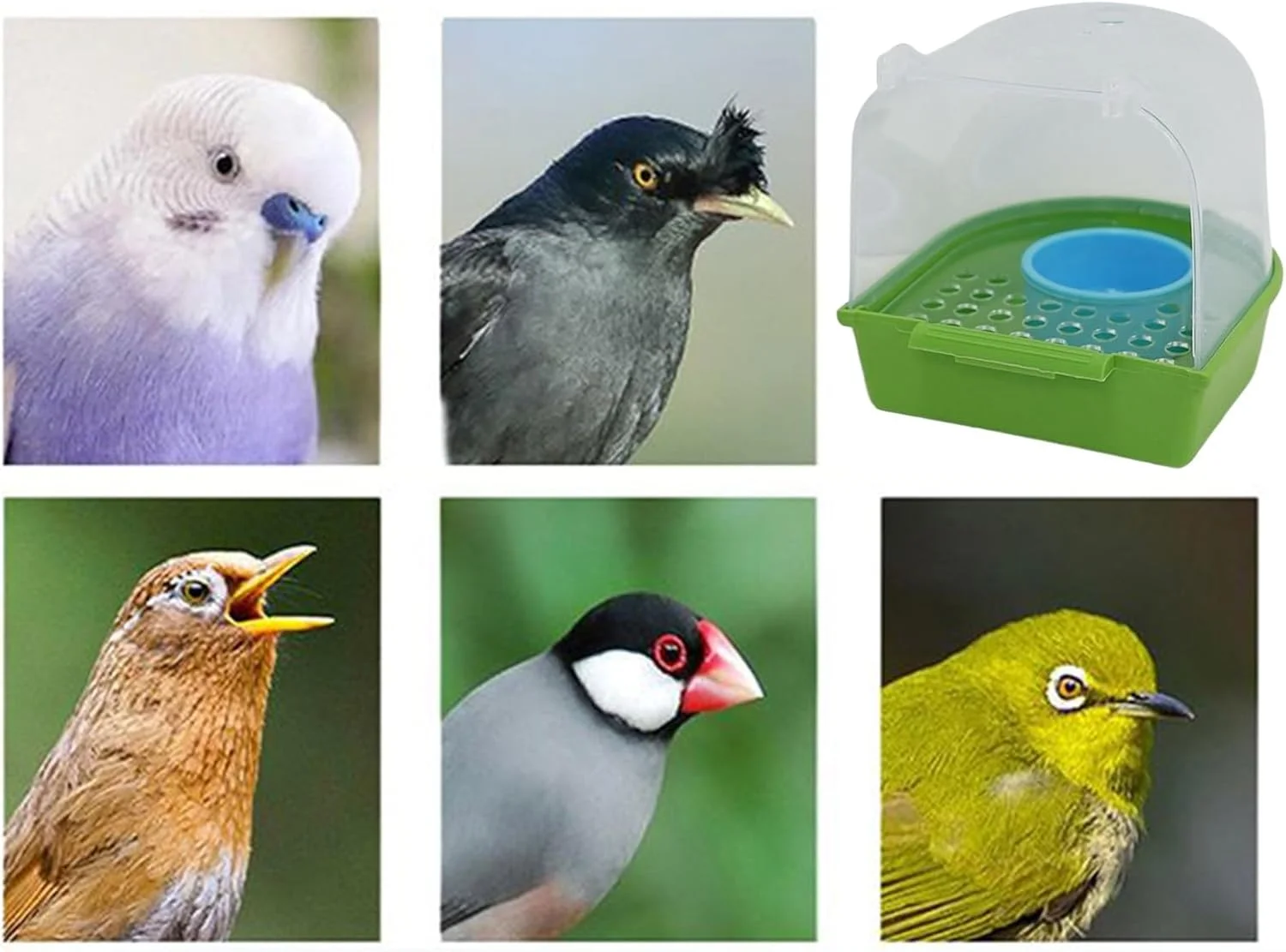 حمام پرنده - حوضچه آب شفاف بدون ریزش | وان حمام پرنده - برای تغذیه طوطی راهب و قناری در فضای داخلی و خارجی خانه و باغ