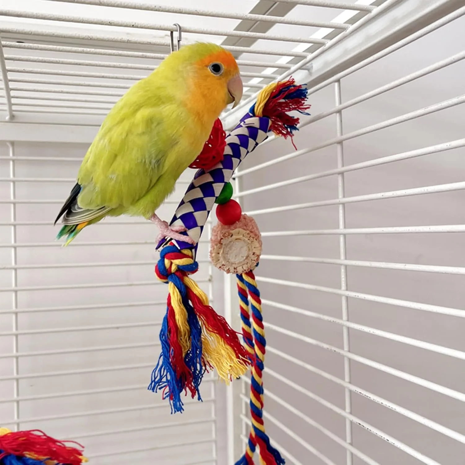 اسباب بازی پرندگان برای طوطی، عروس هلندی، طناب رنگارنگ جستجو | نشیمنگاه قفس پرنده، طناب جویدنی، بازی تعاملی برای کانورها، مرغ عشق، عروس هلندی، پریکیتو