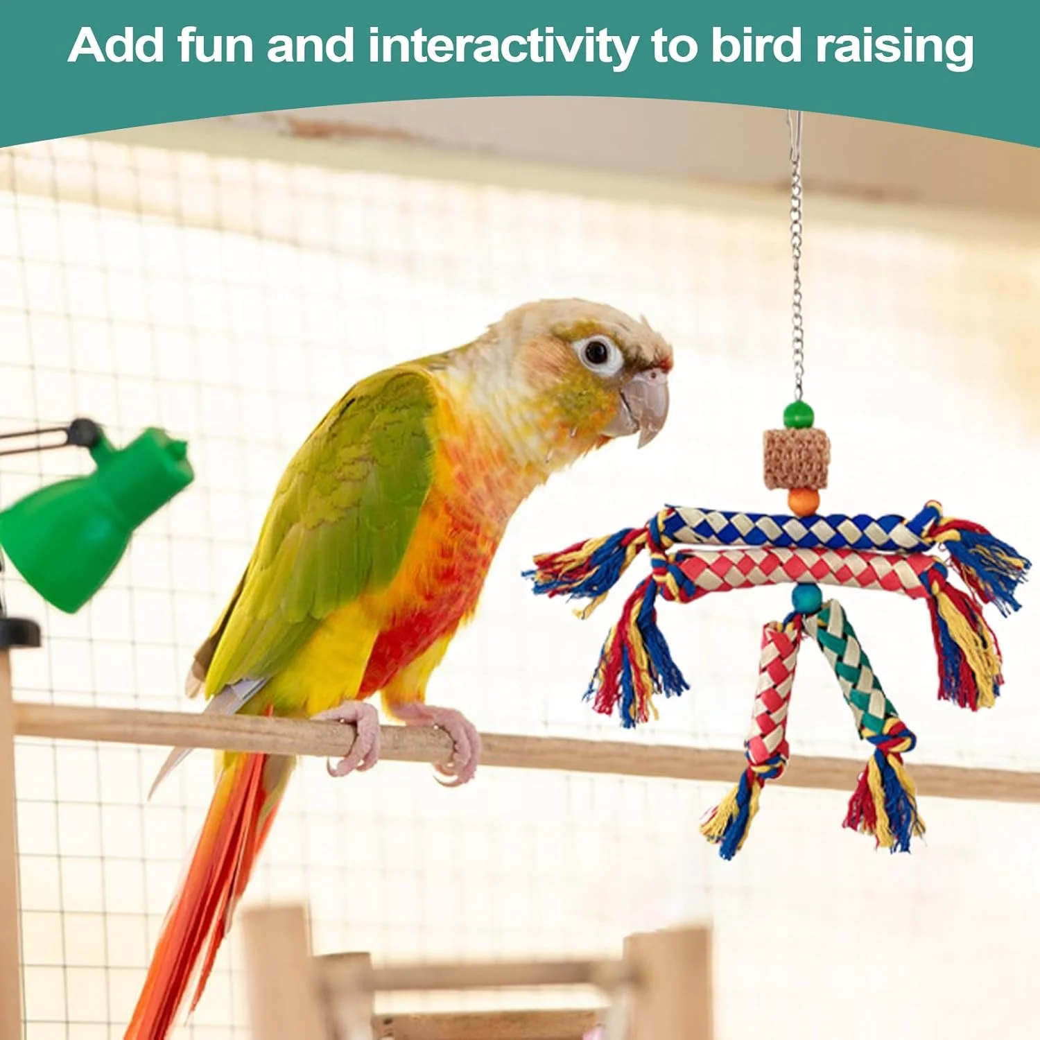 اسباب بازی پرنده برای طوطی، اسباب بازی جویدنی رنگارنگ مرغ عشق، طناب جویدنی نشیمنگاه قفس پرنده، بازی تعاملی برای کانورها، باجریگارها، عروس هلندی و پریکیتو ها