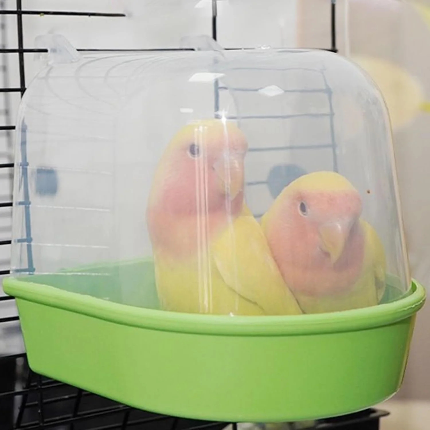 حمام پرنده، ظرف غذای شفاف ضد ریزش، ظرف غذای قفس پرنده - مناسب برای طوطی های خانگی، فنچ ها، راهب ها، قفس پرندگان، تغذیه آب در داخل و خارج از منزل، باغ، داخل و خارج