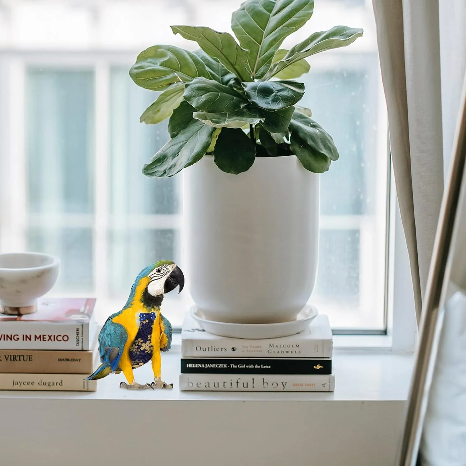 2 عدد پوشک پرنده، پوشک های قابل شستشوی طوطی، لباس پرواز قابل استفاده مجدد پرنده، لباس پوشک طوطی برای پاراکیت، مینی ماکائو، مرغ عشق، قناری، مشکی و قرمز سایز S