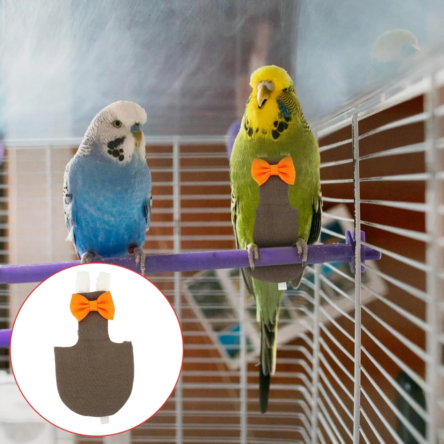 پوشک پرنده پرواز پرنده عشق پوشک مرغ عشق پوشک طوطی برزیلی لباس پرواز مخروطی پوشک طوطی پوشک کبوتر طوطی پوشک کبوتر پوشک طوطی لباس پرنده کراوات مخروطی دم پنبه ای