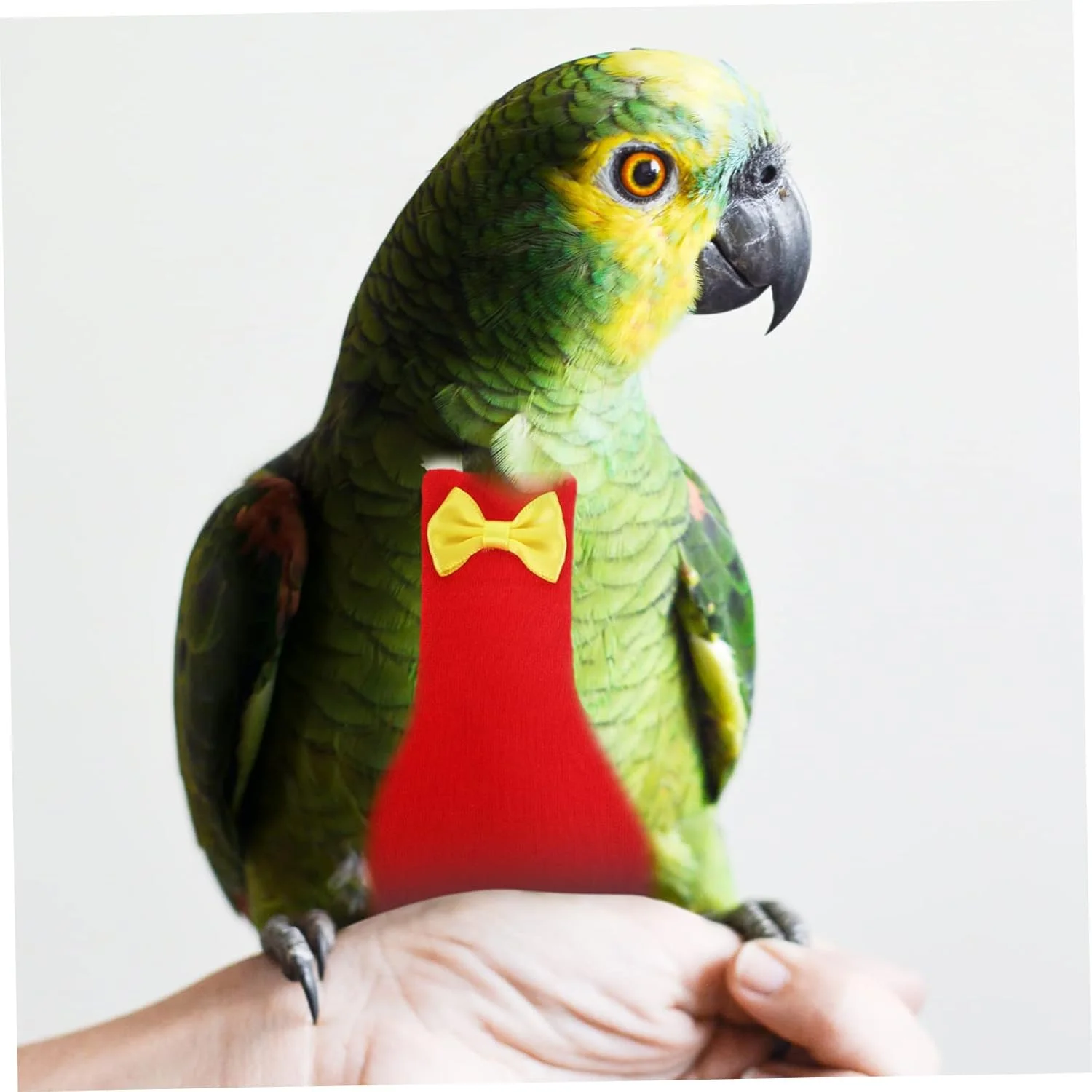 ۴ عدد پوشک پرنده پرواز کننده، لباس پرواز ماکابون، کتانی، لباس پرنده، پوشک مرغ عشق، لباس پرنده برای مرغ عشق، پوشک پرنده برای طوطی برزیلی، لباس پنبه ای حیوانات خانگی