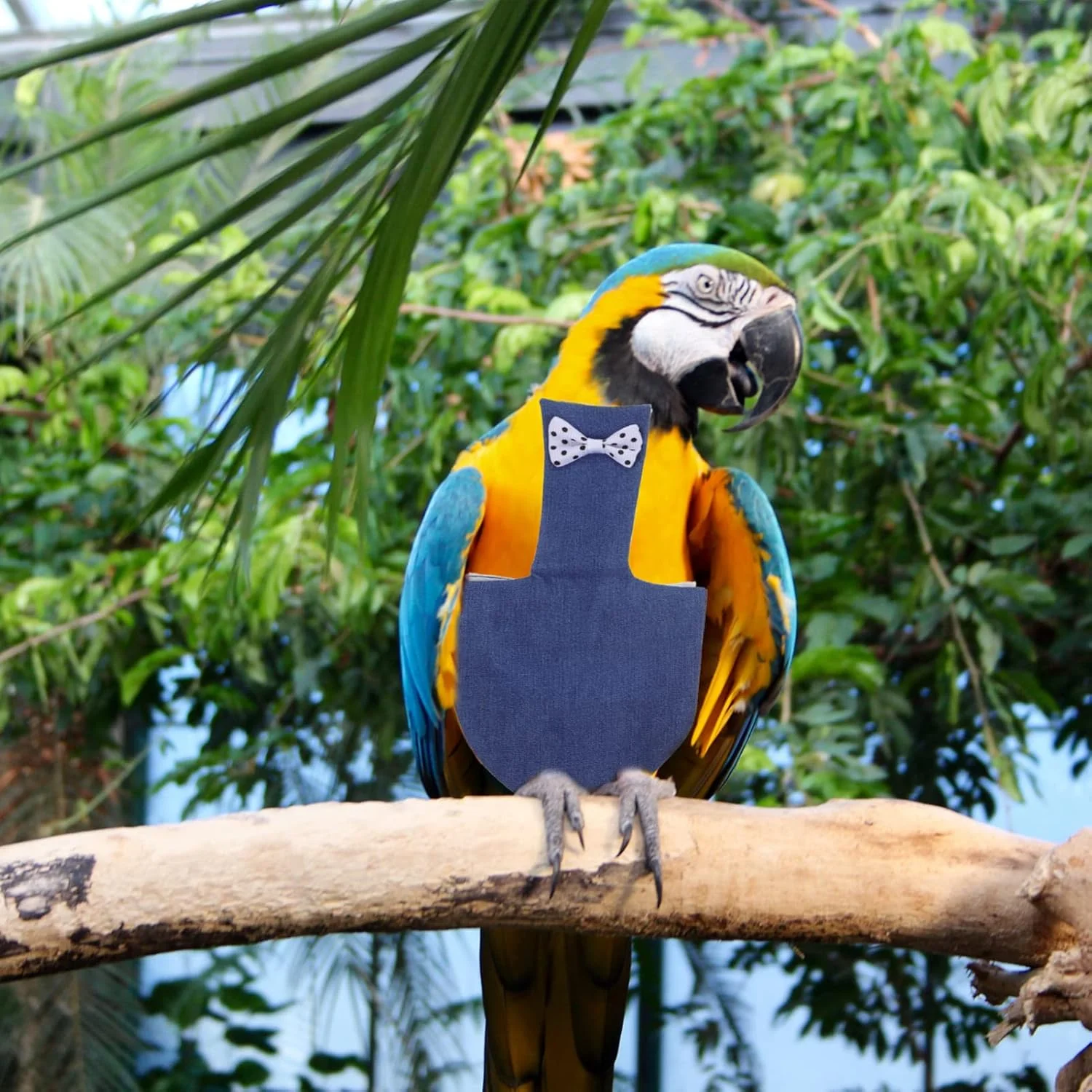 ست لباس پرواز پوشک پرنده 2 عددی - پوشک طوطی، پوشک مرغ عشق، لباس پرنده برای مرغ عشق