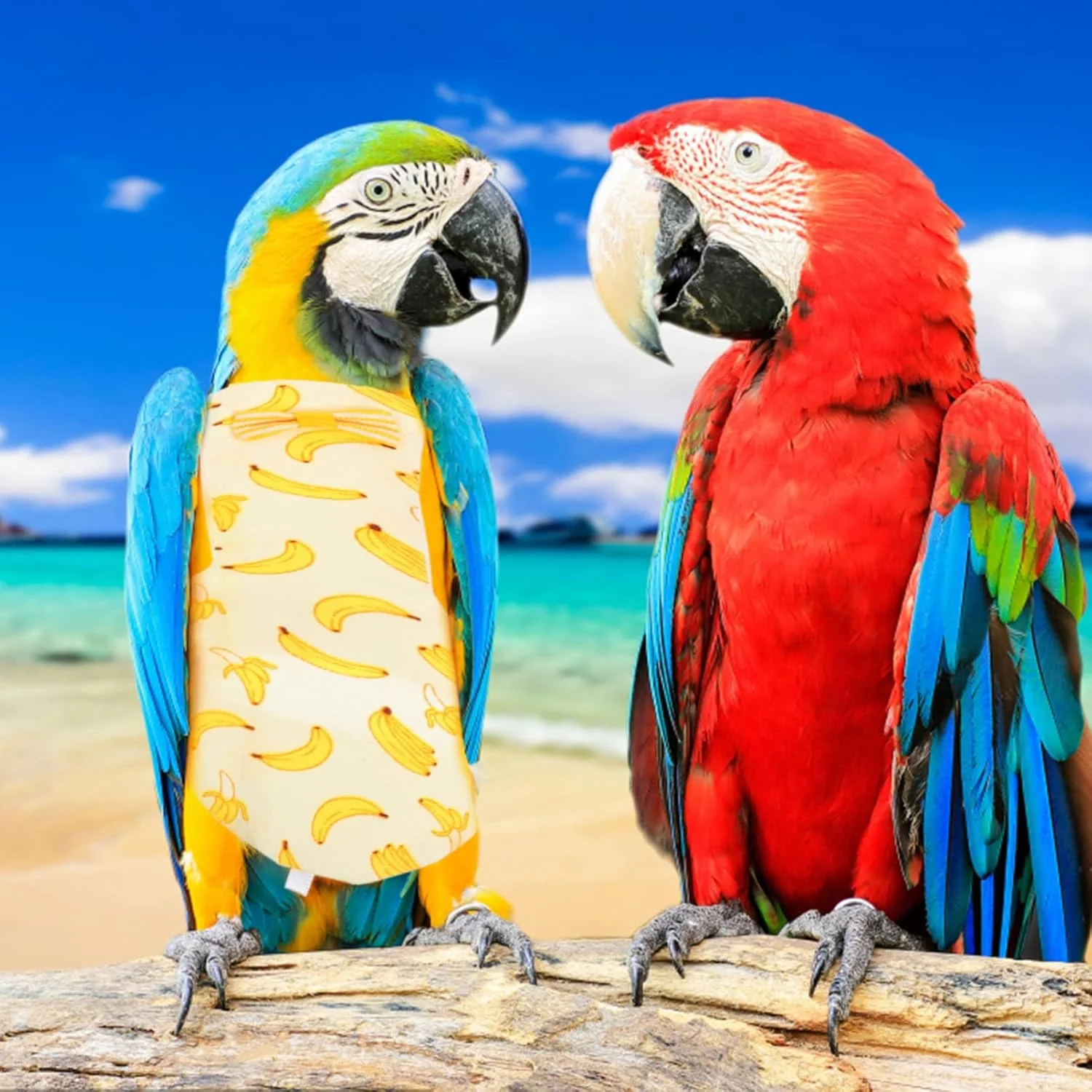 2 عدد پوشک پرنده لباس پرواز طوطی پوشک نخی نرم قابل شستشو لباس پوشک طوطی عروس هلندی سایز S