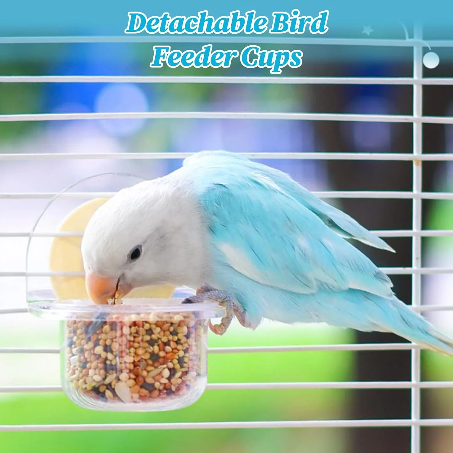 ظرف غذای پرنده | فنجان های جداشدنی پرنده برای قفس، ظرف پخش کننده غذا شفاف برای لوازم حیوانات خانگی، مناسب آب، سنجاب، قناری، عروس هلندی و فنچ
