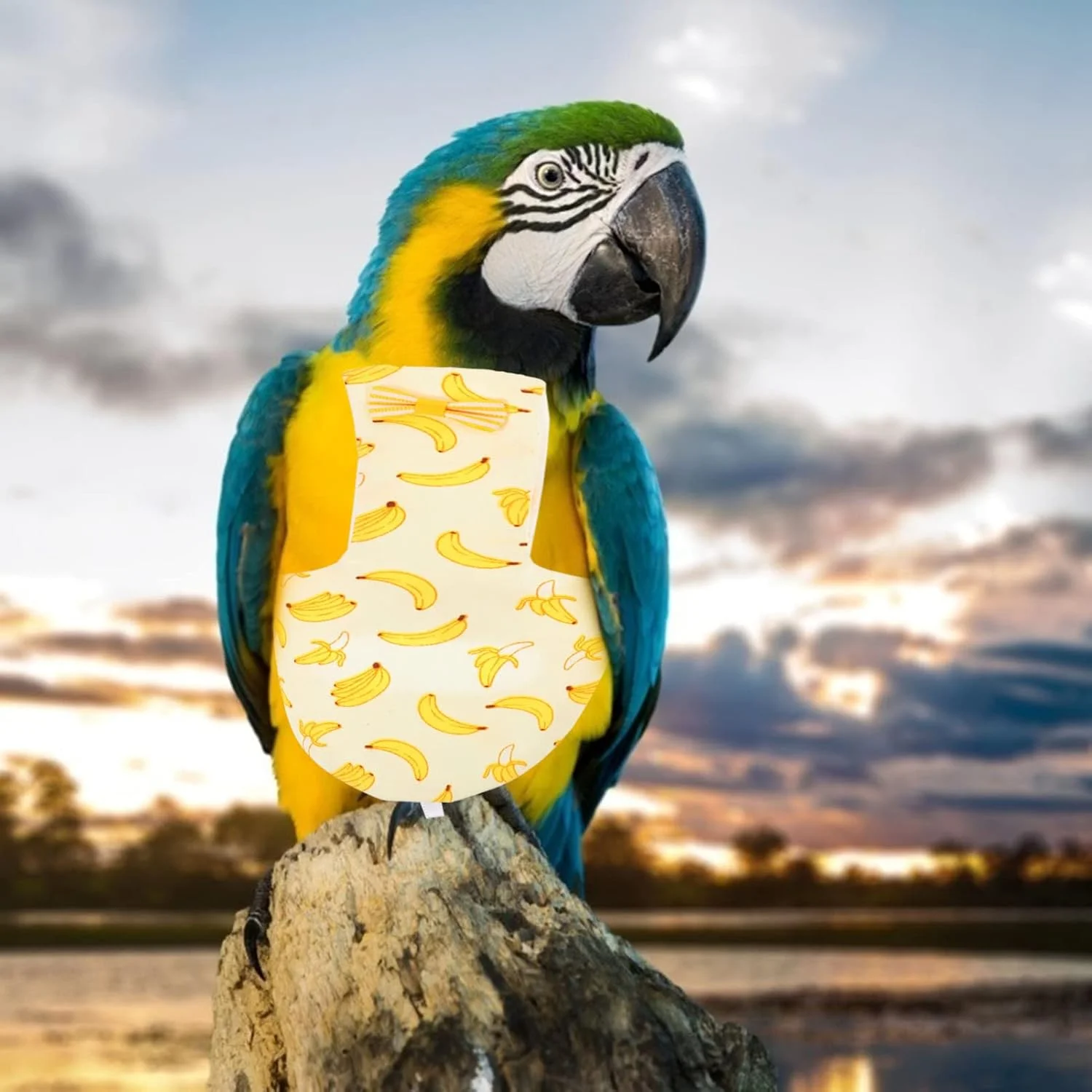 2 عدد پوشک پرنده لباس پرواز طوطی پوشک نخی نرم قابل شستشو لباس پوشک طوطی عروس هلندی سایز S