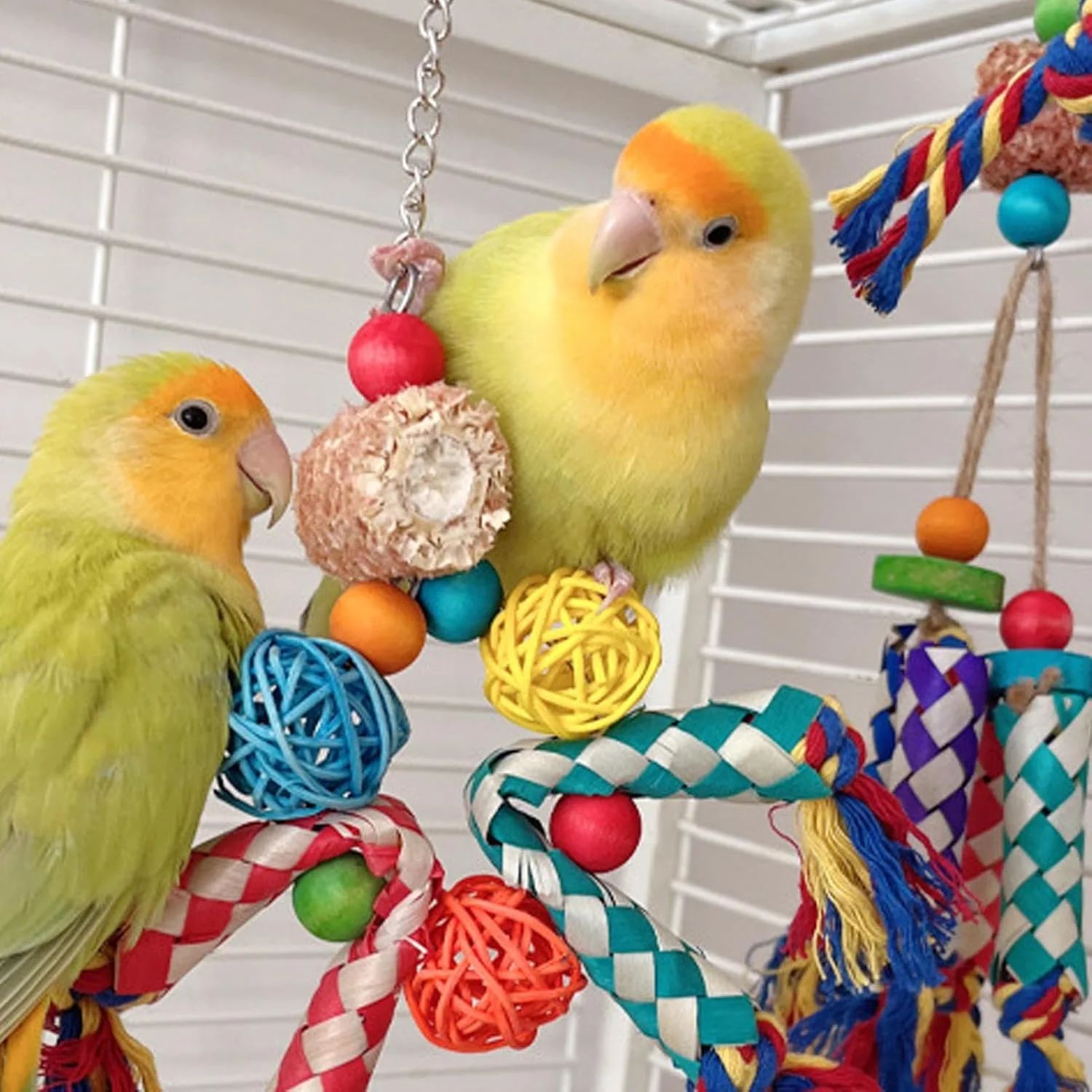 اسباب بازی پرنده برای قفس | طناب بازی رنگارنگ طوطی، طناب جویدنی پرنده، بازی تعاملی برای باجریگار، مرغ عشق، کانور، کتراس
