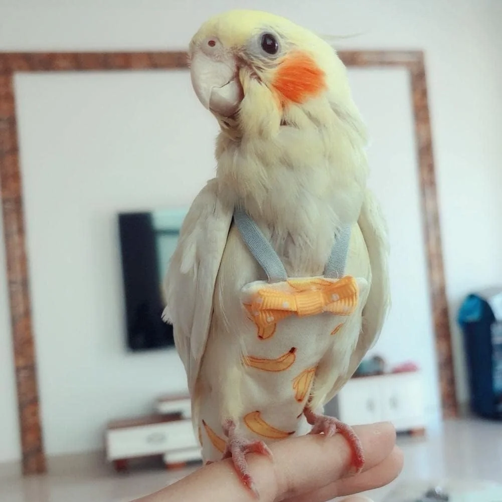 پوشک طوطی با پاپیون، طرح میوه ای و گلدار رنگارنگ، قابل شستشو، مناسب پرندگان کوچک، لباس پرواز، کبوتر، عروس هلندی سایز بزرگ