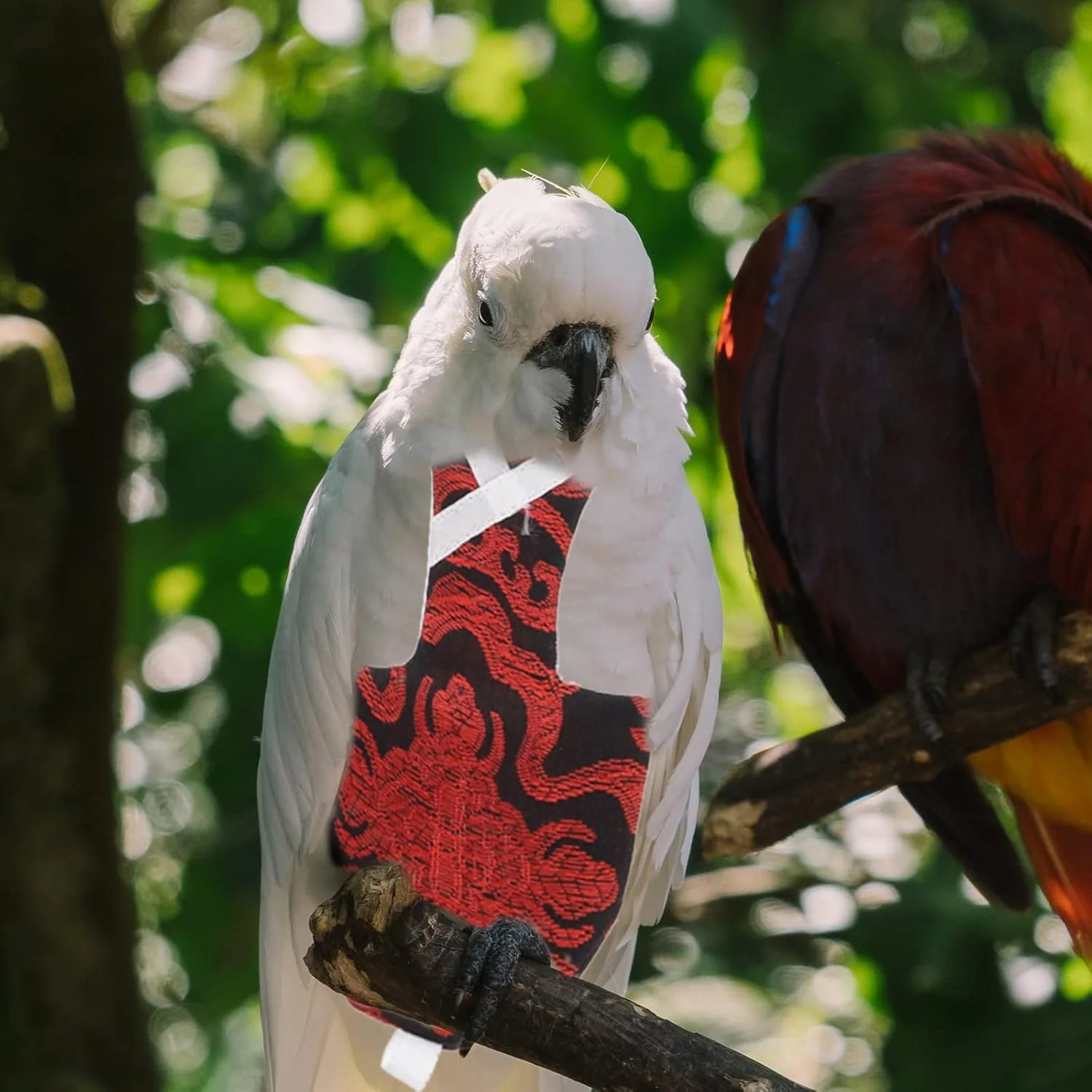 لباس پرواز پرنده پنبه ای، پوشک پرنده الاستیک، لباس پرنده، پوشک طوطی، لباس پرواز پرنده، دکور پرندگان خانگی