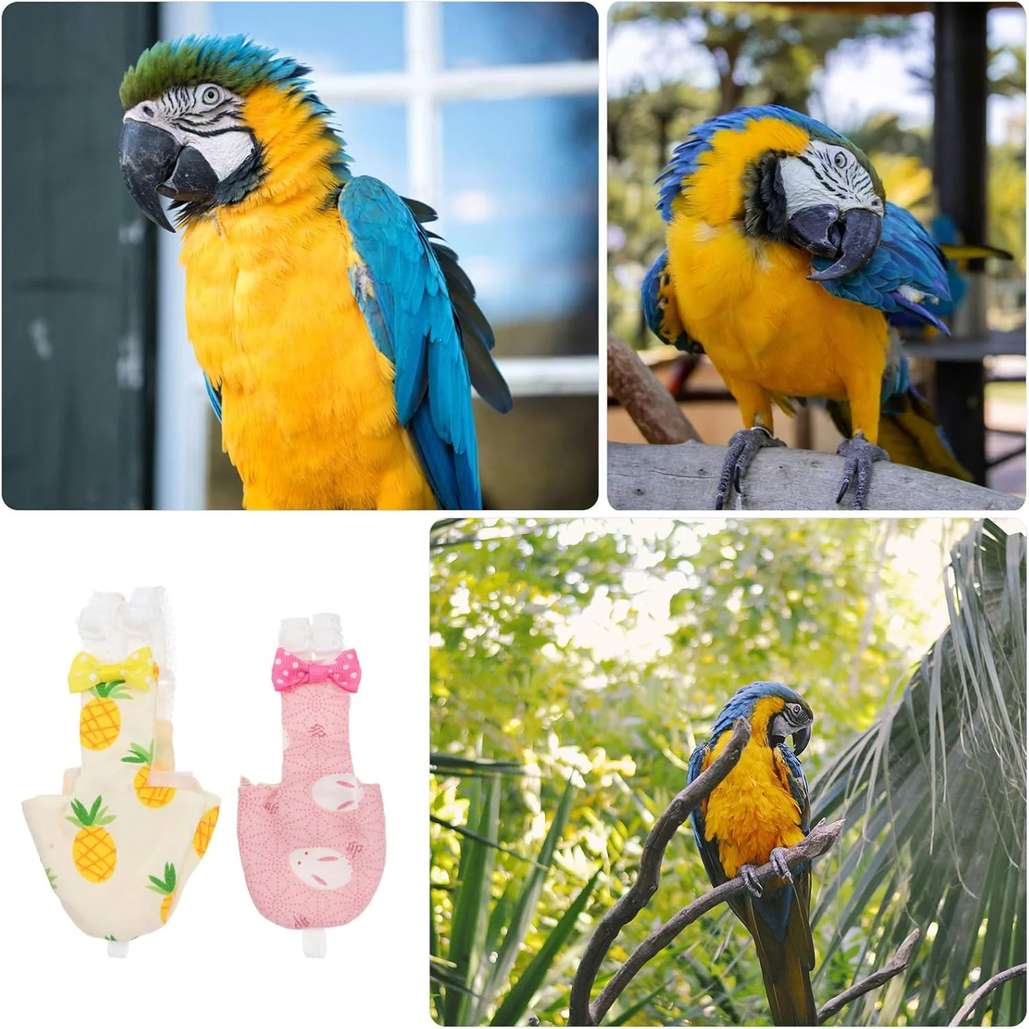 2 عدد پوشک طوطی، لباس پرواز پرنده، لباس خلبانی پرنده، شلوارک قابل شستشو برای طوطی برزیلی، عروس هلندی، مرغ عشق، ماکائو آفریقایی (طرح تصادفی) 2 عدد پوشک طوطی، لباس پرواز پرنده، لباس خلبانی پرنده، شلوارک قابل شستشو برای طوطی برزیلی، عروس هلندی، مرغ عشق، ماکائو آفریقایی (طرح تصادفی)