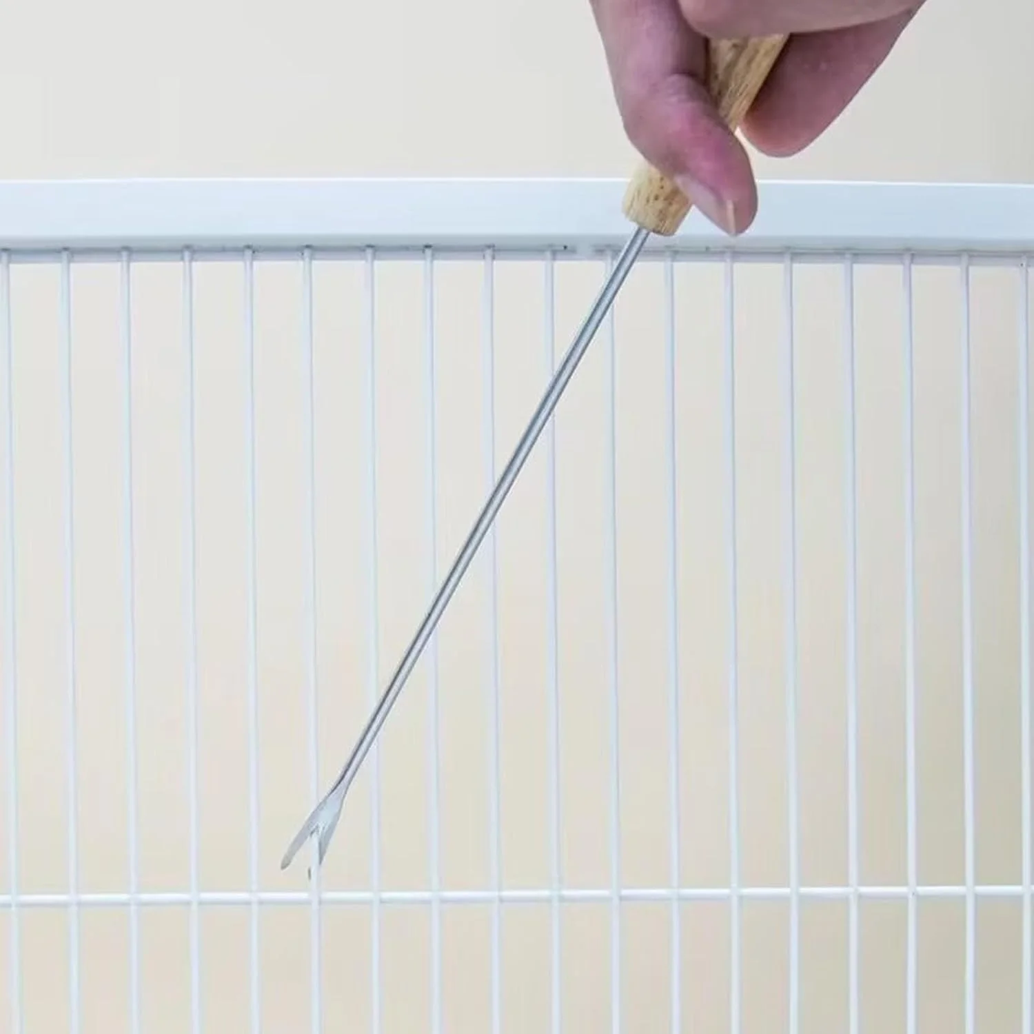 ست تمیز کننده قفس پرنده 5 تکه، ابزار حذف فضولات استیل ضد زنگ برای قفس های طوطی و حیوانات کوچک، لوازم جانبی پرنده ست تمیز کننده قفس پرنده 5 تکه، ابزار حذف فضولات استیل ضد زنگ برای قفس های طوطی و حیوانات کوچک، لوازم جانبی پرنده