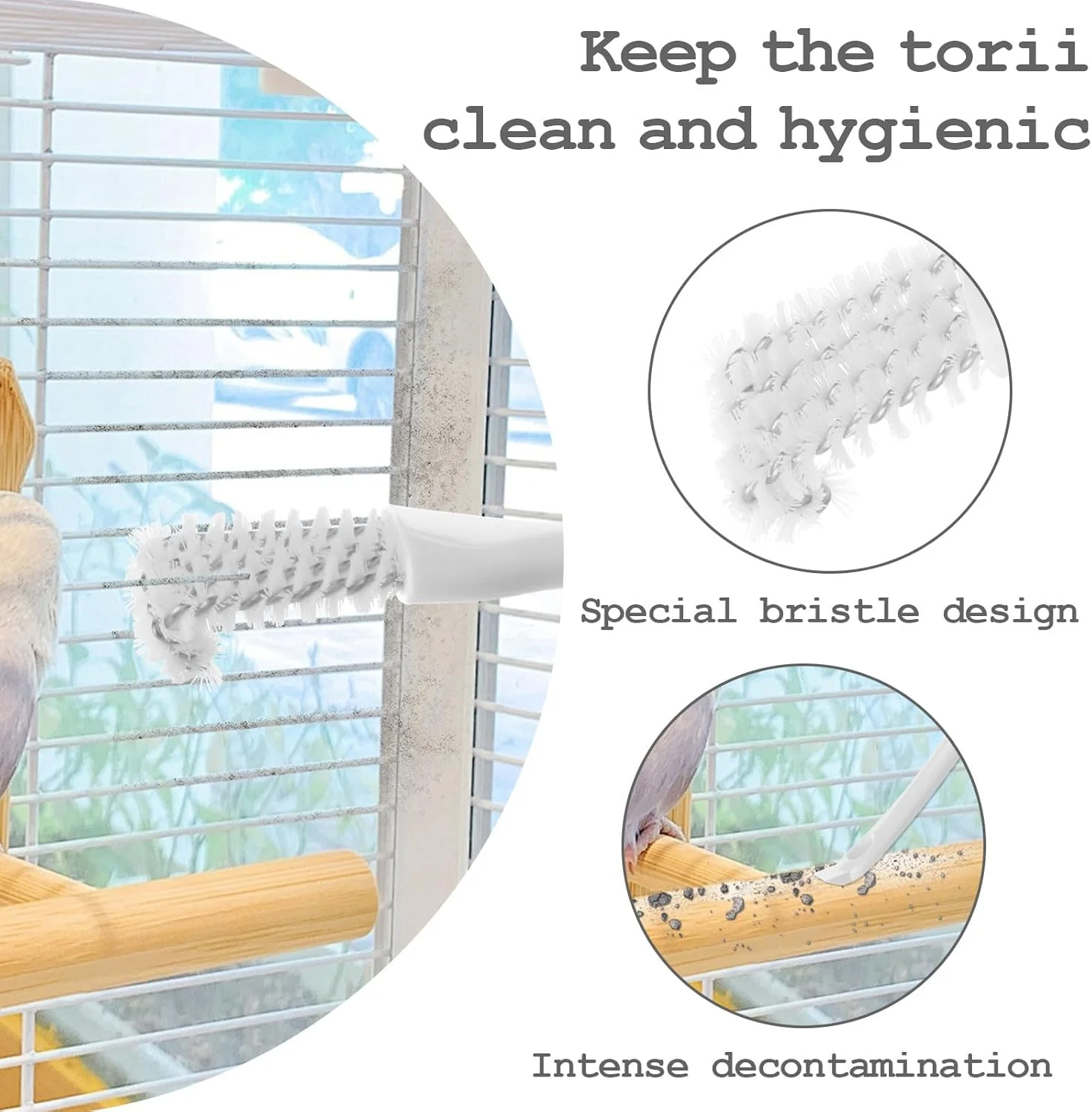ست برس تمیز کننده قفس پرنده 4 عددی، برس و بیلچه دسته بلند 2 در 1، لوازم جانبی ضروری قفس پرنده برای طوطی، قفس حیوانات خانگی و نشیمنگاه پرندگان