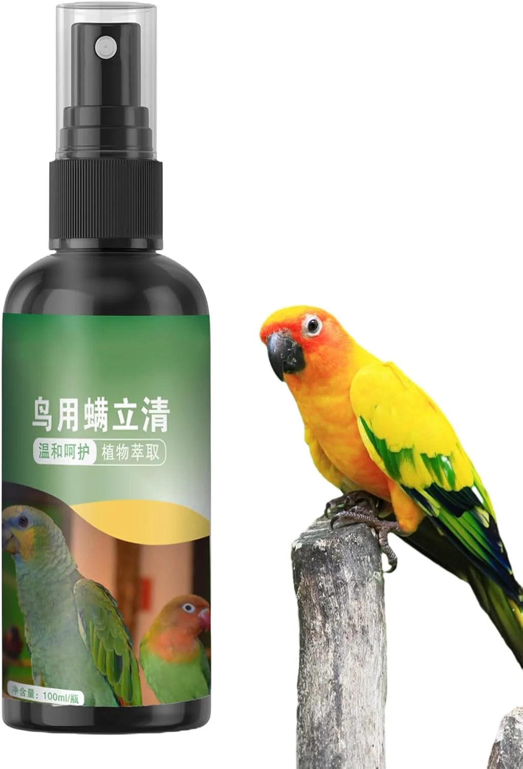 اسپری پرندگان | اسپری مه پاک کننده قفس پرنده 100 میلی لیتری برای طوطی، لوازم حیوانات خانگی با عملکرد سریع و خشک شدن سریع، کنترل طبیعی مگس ماندگار برای فنچ های خارش دار، مرغ، بوقلمون و کبوتر اسپری پرندگان | اسپری مه پاک کننده قفس پرنده 100 میلی لیتری برای طوطی، لوازم حیوانات خانگی با عملکرد سریع و خشک شدن سریع، کنترل طبیعی مگس ماندگار برای فنچ های خارش دار، مرغ، بوقلمون و کبوتر