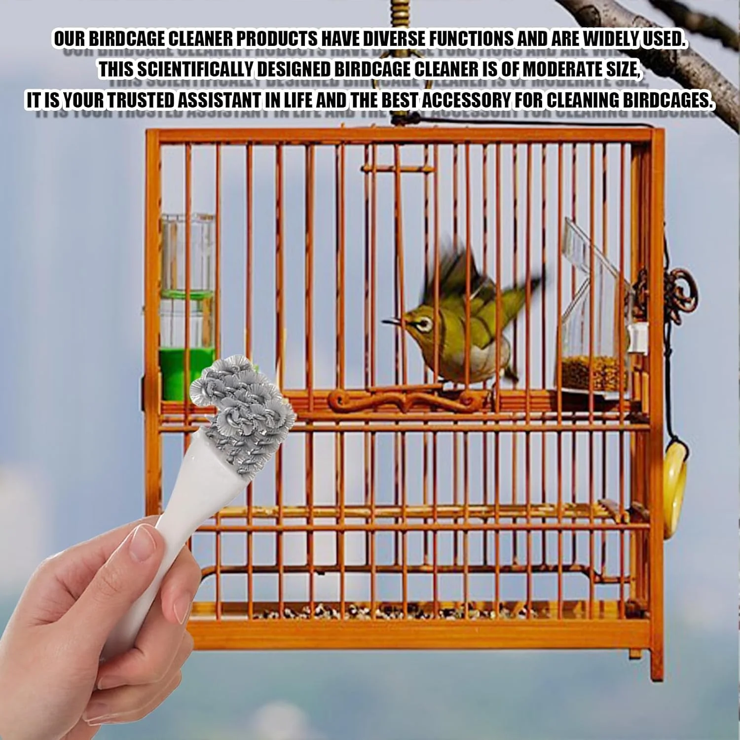 برس قفس پرنده، 2 عدد برس تمیز کننده لانه پرنده برس تمیز کننده فضولات پرنده با دسته بلند و بیلچه، برس های تمیز کننده قفس پرنده لوازم جانبی قفس پرندگان برای تمیز کردن قفس های پرندگان و طوطی ها برس قفس پرنده، 2 عدد برس تمیز کننده لانه پرنده برس تمیز کننده فضولات پرنده با دسته بلند و بیلچه، برس های تمیز کننده قفس پرنده لوازم جانبی قفس پرندگان برای تمیز کردن قفس های پرندگان و طوطی ها