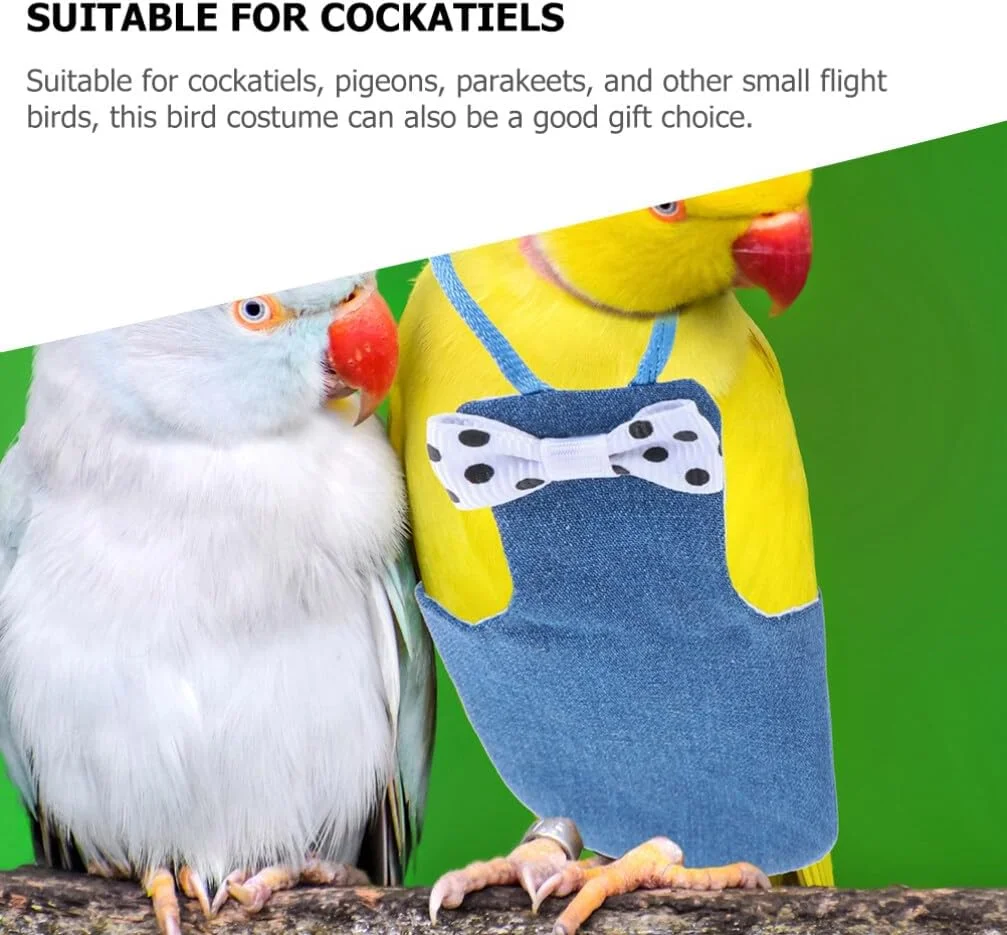 پوشک پرنده پاپیونی، لباس پرواز پرنده، پوشک طوطی قابل شستشو، لباس کراوات پاپیونی، لباس پوشک پرواز برای طوطی ها، عروس هلندی، پرندگان خانگی، آبی آسمانی، سایز L، شلوار کبوتر