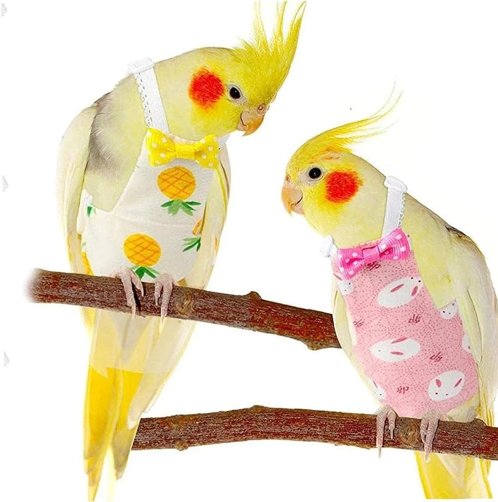 لباس پرواز پرنده BLZQSQ، پوشک پرنده، آستر لباس پرواز، قابل شستشو، قابل استفاده مجدد، محافظ، لباس پوشک طوطی با لایه داخلی ضد آب، طرح آناناس زیبا لباس پرواز پرنده BLZQSQ، پوشک پرنده، آستر لباس پرواز، قابل شستشو، قابل استفاده مجدد، محافظ، لباس پوشک طوطی با لایه داخلی ضد آب، طرح آناناس زیبا