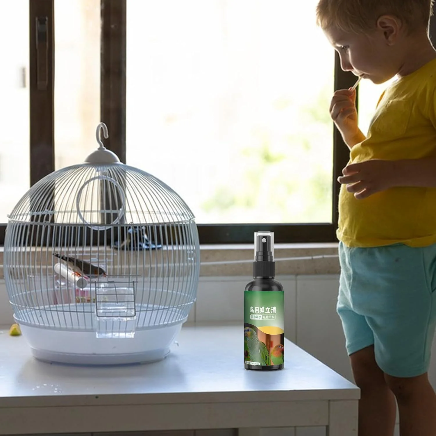 اسپری ضد شپش پرندگان - اسپری تمیز کننده قفس پرنده 100 میلی لیتری برای طوطی، کنترل سریع مگس، لوازم حیوانات خانگی طبیعی برای حیاط خانه و قفس اسپری ضد شپش پرندگان - اسپری تمیز کننده قفس پرنده 100 میلی لیتری برای طوطی، کنترل سریع مگس، لوازم حیوانات خانگی طبیعی برای حیاط خانه و قفس