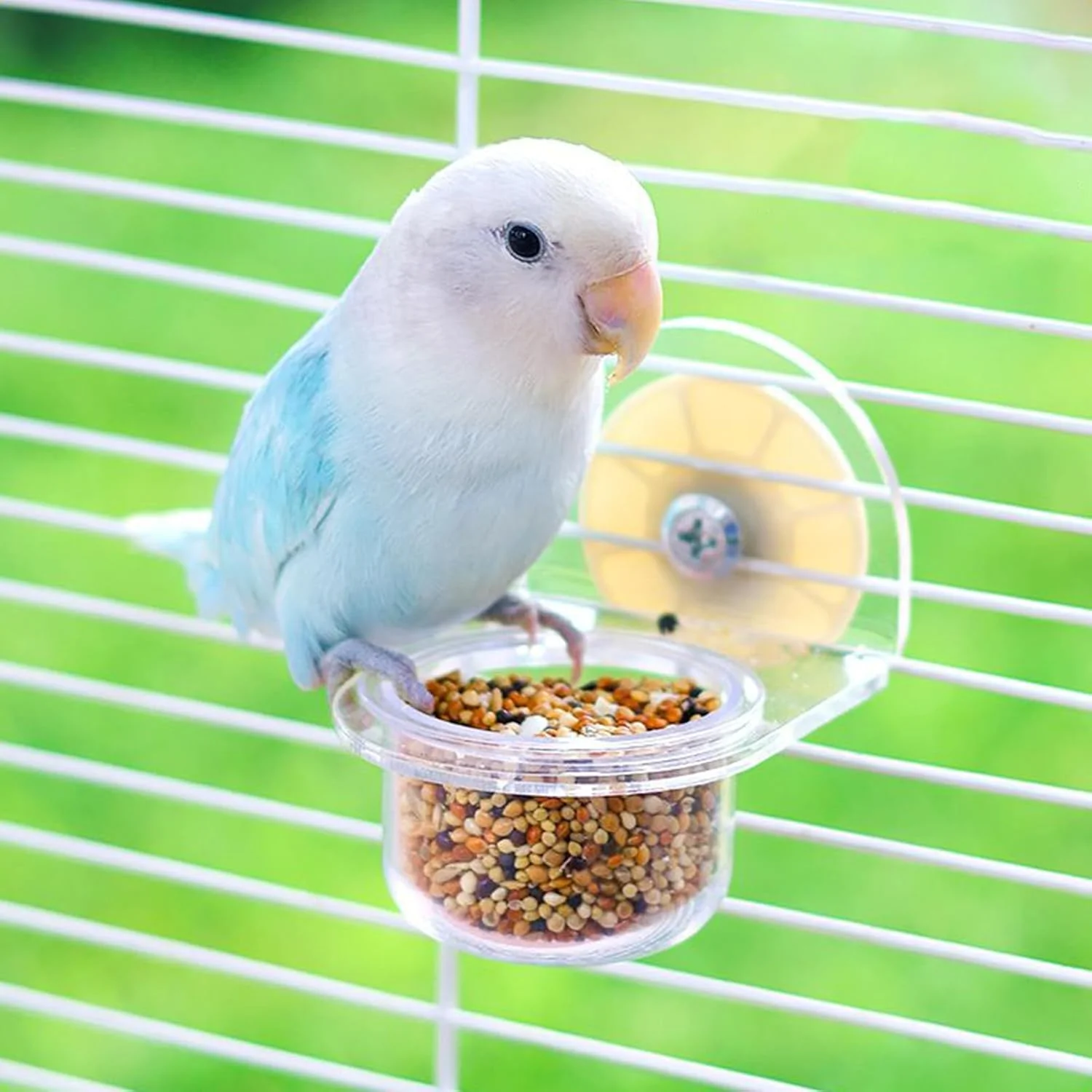 ظروف غذا پرنده برای قفس | فنجان های خوراک دهنده قفس پرنده جداشدنی - ظرف پخش کننده شفاف برای لوازم حیوانات خانگی آب سنجاب قناری عروس هلندی فنچ ظروف غذا پرنده برای قفس | فنجان های خوراک دهنده قفس پرنده جداشدنی - ظرف پخش کننده شفاف برای لوازم حیوانات خانگی آب سنجاب قناری عروس هلندی فنچ