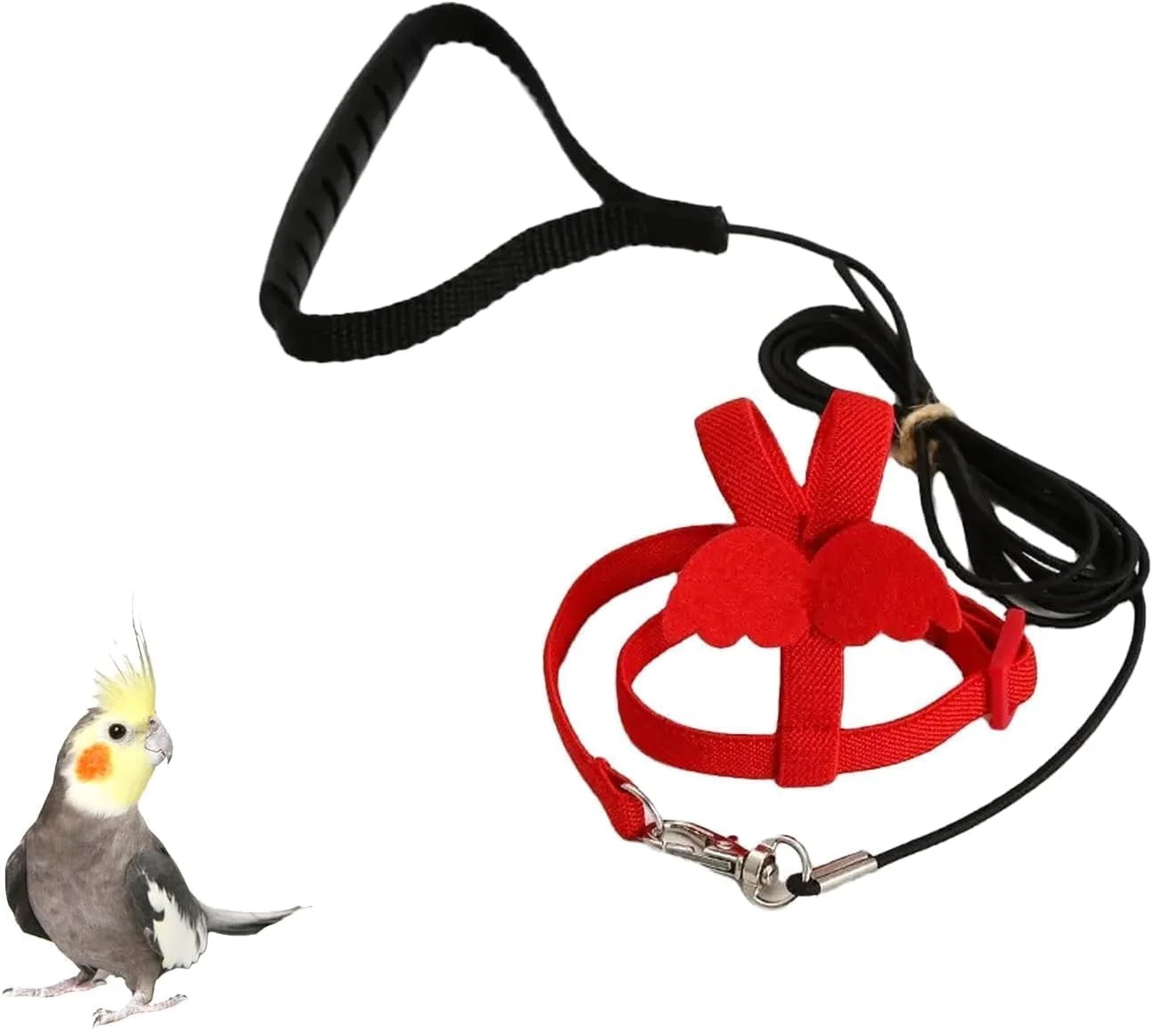 پوشک پرنده با افسار پرواز 78 اینچی - بسته 2 عددی، لباس پرواز قابل استفاده مجدد با لایه داخلی ضد آب، لباس ادرار مرطوب شونده شایان ستایش برای عروس هلندی، طوطی راهب، طوطی خورشیدی، لوری (S) پوشک پرنده با افسار پرواز 78 اینچی - بسته 2 عددی، لباس پرواز قابل استفاده مجدد با لایه داخلی ضد آب، لباس ادرار مرطوب شونده شایان ستایش برای عروس هلندی، طوطی راهب، طوطی خورشیدی، لوری (S)