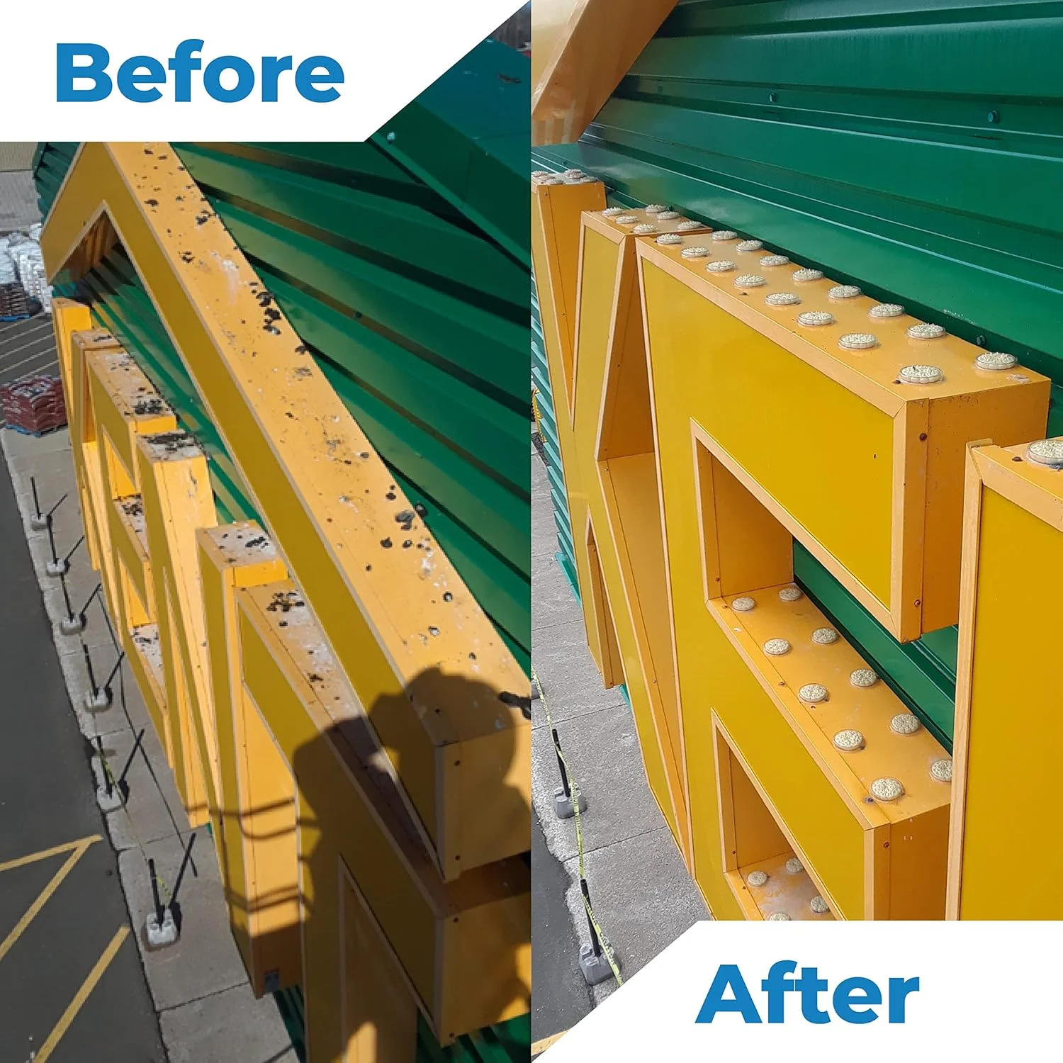 محلول آنزیمی پاک کننده فضله پرندگان Bird Barrier Dissolve-It Max - مخلوط با آب - پاک کننده فضله پرندگان - تجزیه کننده فضولات - برای استفاده در مناطق آلوده قبل از نصب محصولات کنترل پرندگان - پاک کننده قفس پرندگان - 1 پینت محلول آنزیمی پاک کننده فضله پرندگان Bird Barrier Dissolve-It Max - مخلوط با آب - پاک کننده فضله پرندگان - تجزیه کننده فضولات - برای استفاده در مناطق آلوده قبل از نصب محصولات کنترل پرندگان - پاک کننده قفس پرندگان - 1 پینت