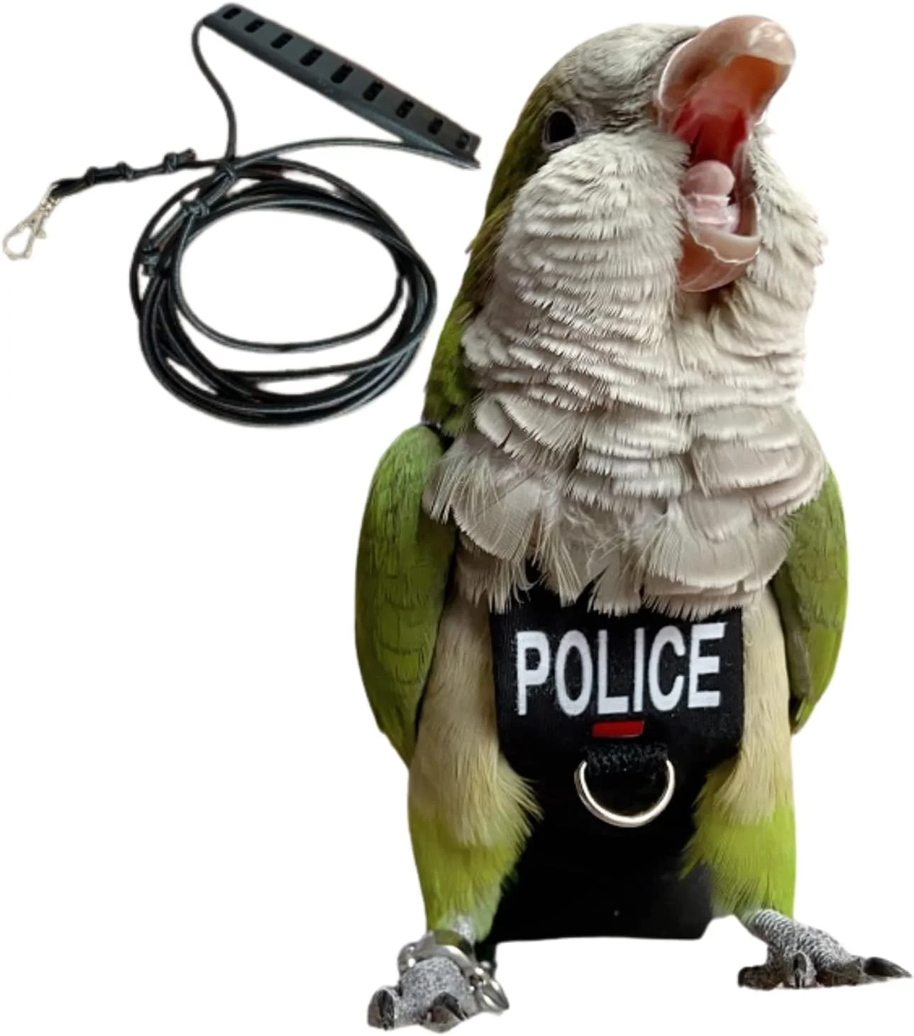 لباس پرواز پرنده Barn Eleven، لباس پرواز طوطی با بند، لباس پرواز پرنده با طناب و دسته برای آموزش فعالیت های خارج از منزل (همراه با بند - بزرگ) لباس پرواز پرنده Barn Eleven، لباس پرواز طوطی با بند، لباس پرواز پرنده با طناب و دسته برای آموزش فعالیت های خارج از منزل (همراه با بند - بزرگ)