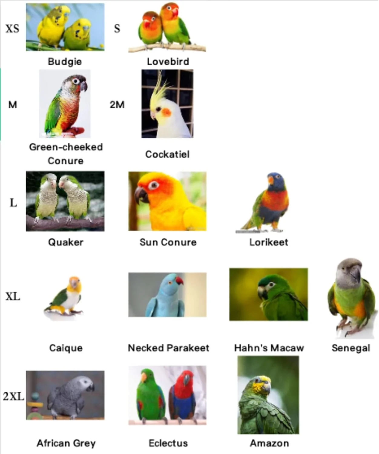 لباس پرواز پرنده Barn Eleven، لباس پرواز طوطی با بند، لباس پرواز پرنده با طناب و دسته برای آموزش فعالیت های خارج از منزل (همراه با بند - بزرگ) لباس پرواز پرنده Barn Eleven، لباس پرواز طوطی با بند، لباس پرواز پرنده با طناب و دسته برای آموزش فعالیت های خارج از منزل (همراه با بند - بزرگ)